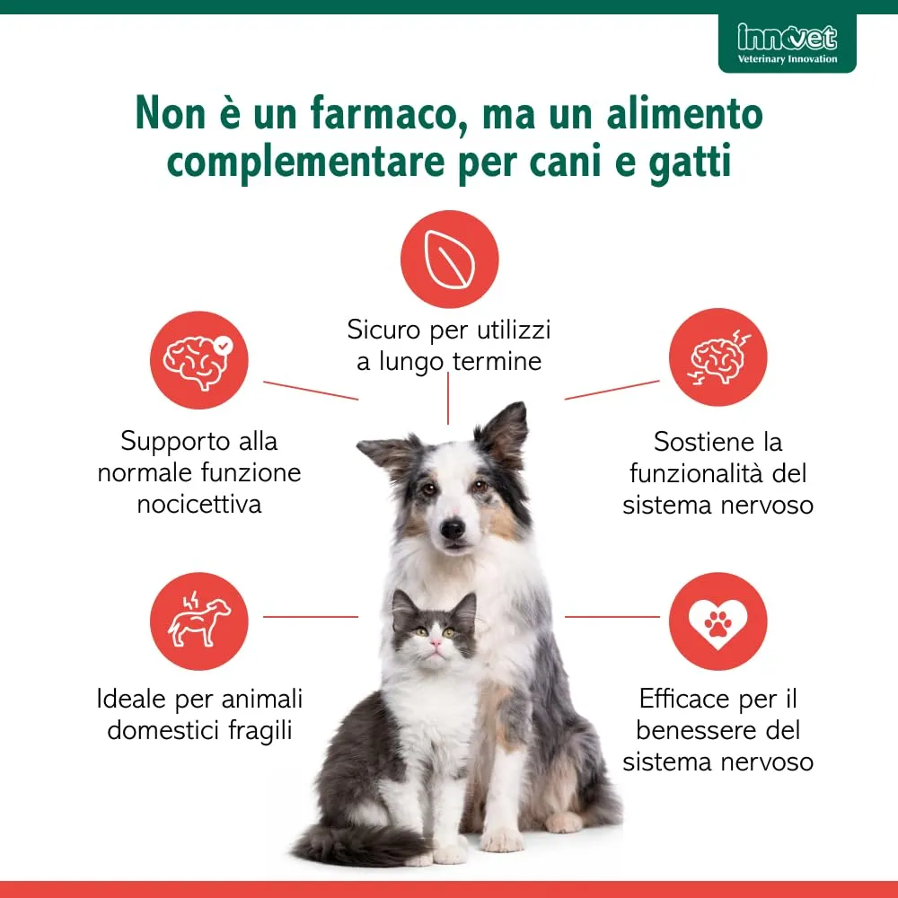 Innovet Alevica PEA-q Compresse Masticabili per Cani e Gatti, 200 Compresse - immagine 2