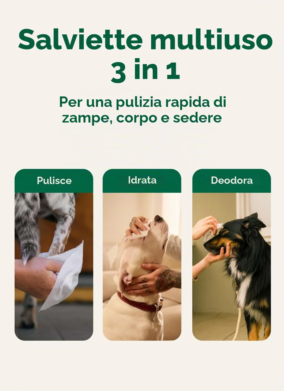 Earth Rated Salviette Ipoallergeniche per Cani alla Lavanda, 100 Pezzi - immagine 4