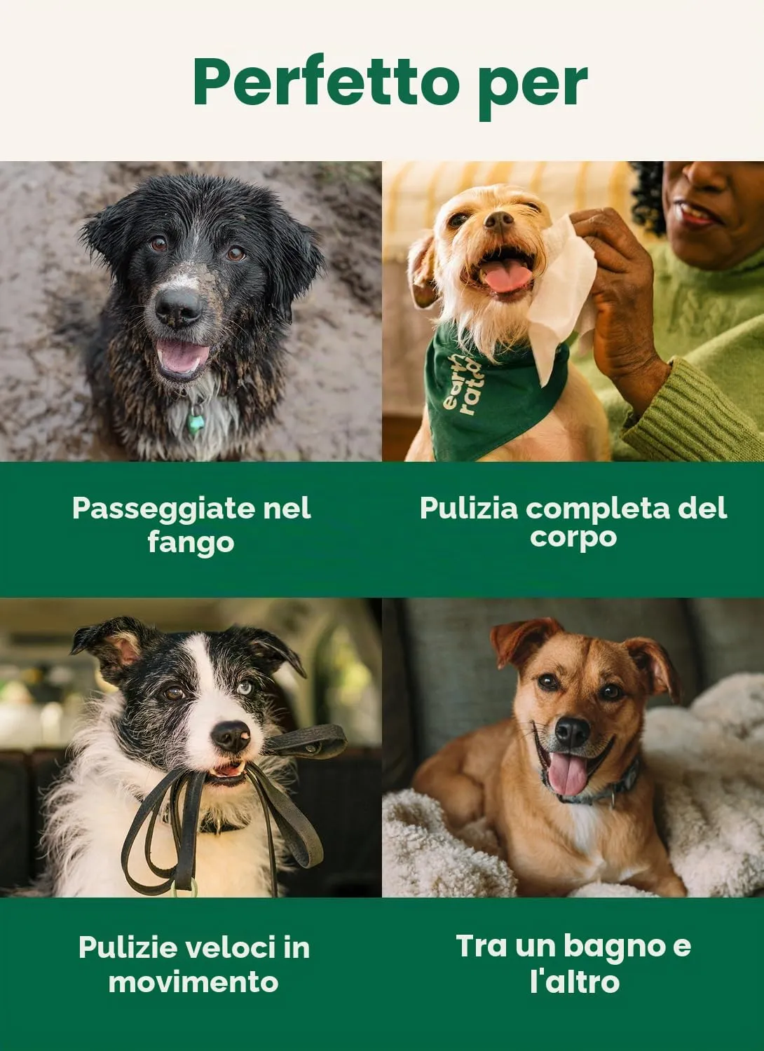 Earth Rated Salviette Ipoallergeniche per Cani alla Lavanda, 100 Pezzi - immagine 7