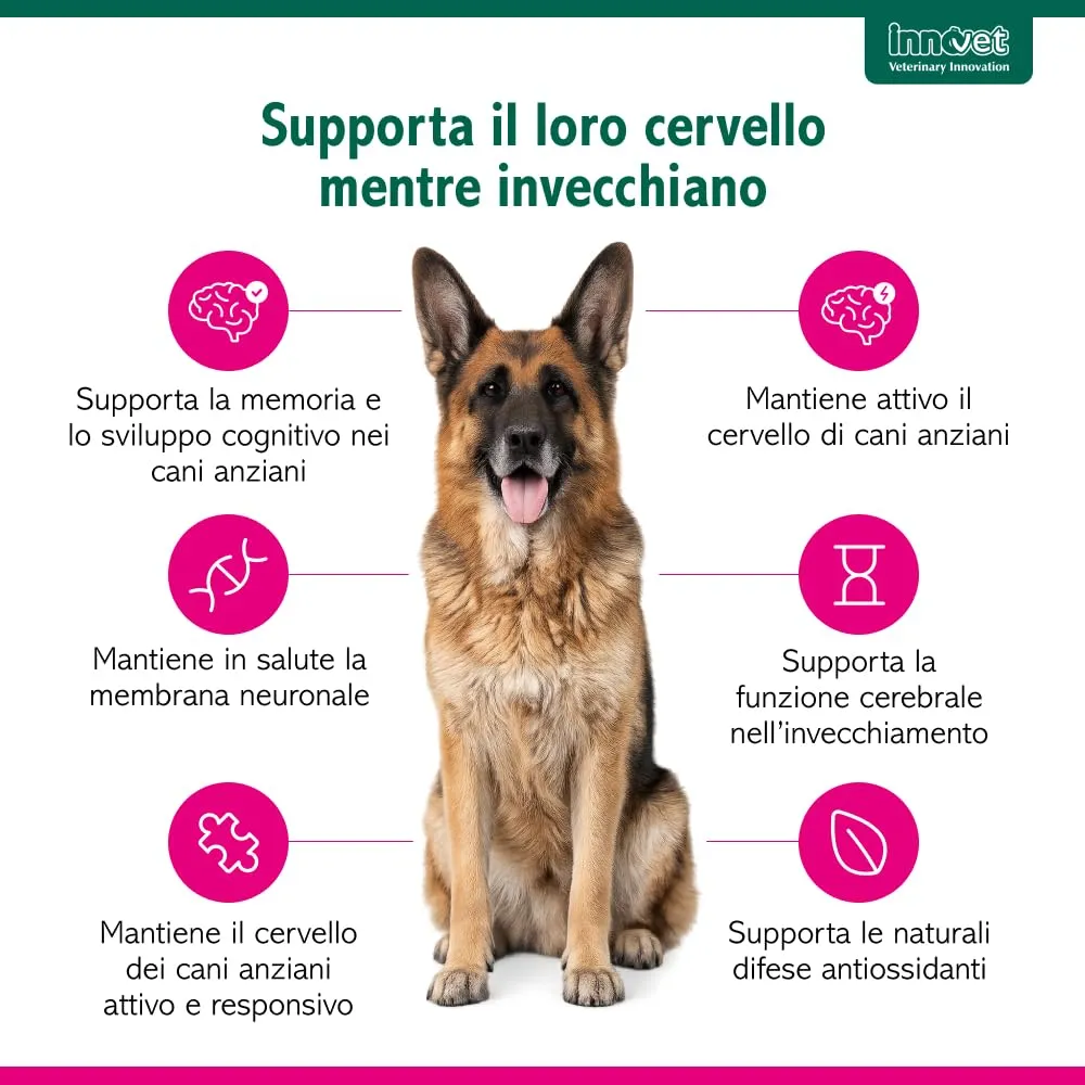 Innovet Senilife Plus - 60 Capsule Birillo per Cani e Gatti Anziani - immagine 2
