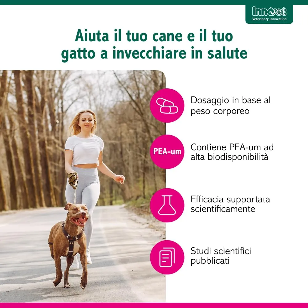 Innovet Senilife Plus - 60 Capsule Birillo per Cani e Gatti Anziani - immagine 3
