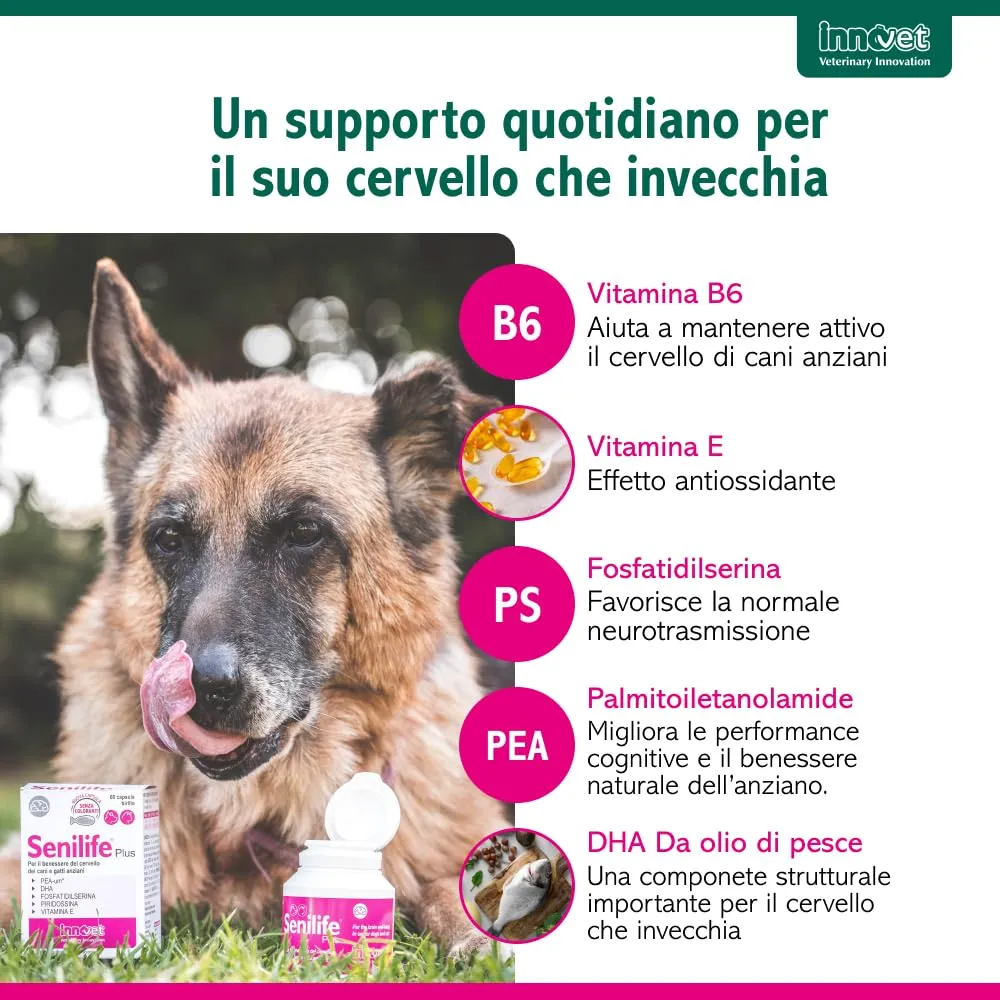 Innovet Senilife Plus - 60 Capsule Birillo per Cani e Gatti Anziani - immagine 5