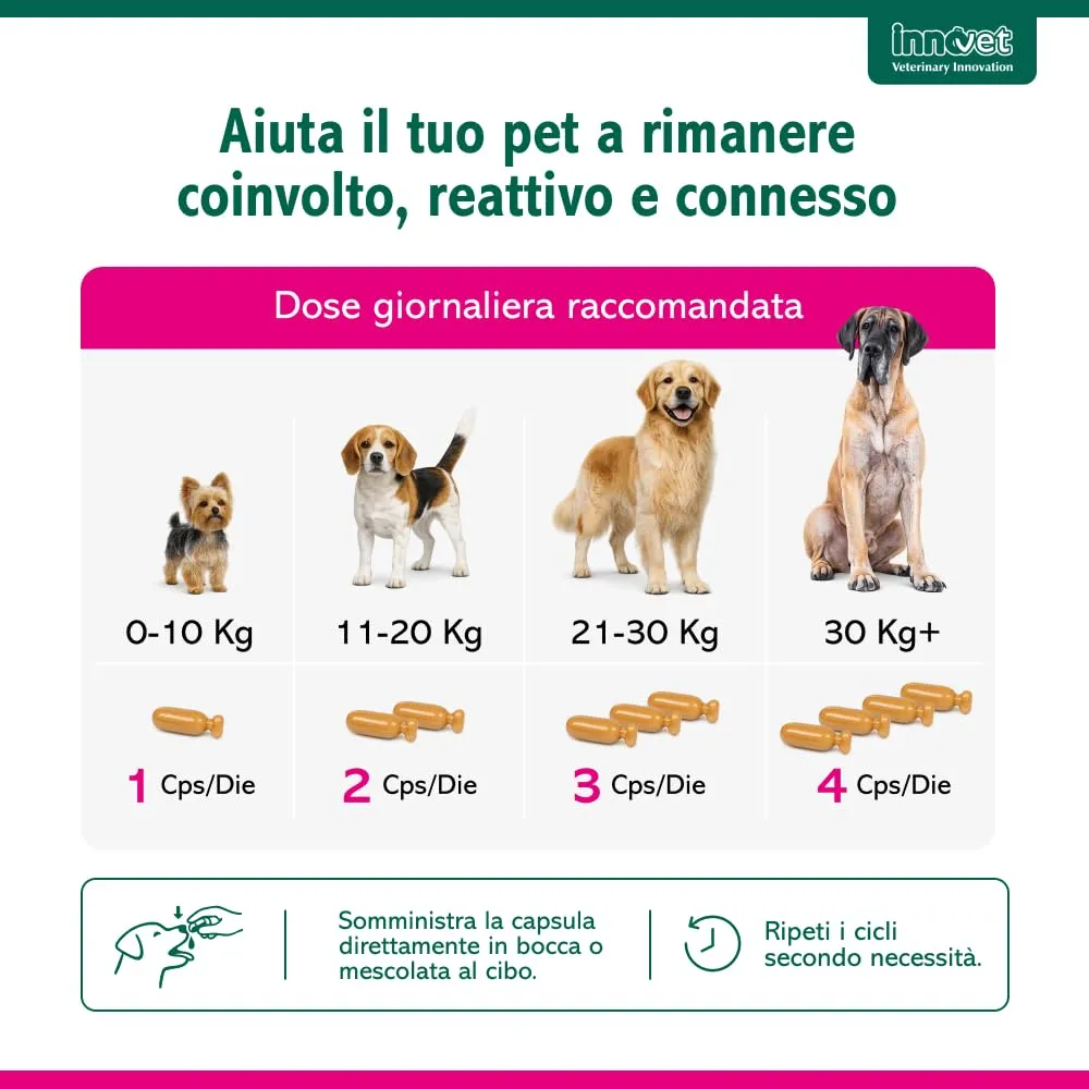Innovet Senilife Plus - 60 Capsule Birillo per Cani e Gatti Anziani - immagine 8