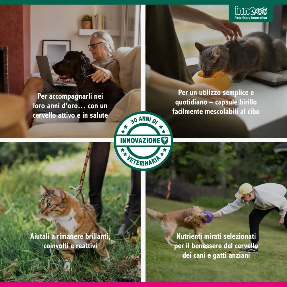 Innovet Senilife Plus - 60 Capsule Birillo per Cani e Gatti Anziani - immagine 9