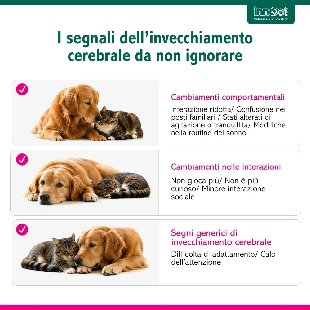 Innovet Senilife Plus - 30 Capsule Birillo per Cani e Gatti Anziani - immagine 4