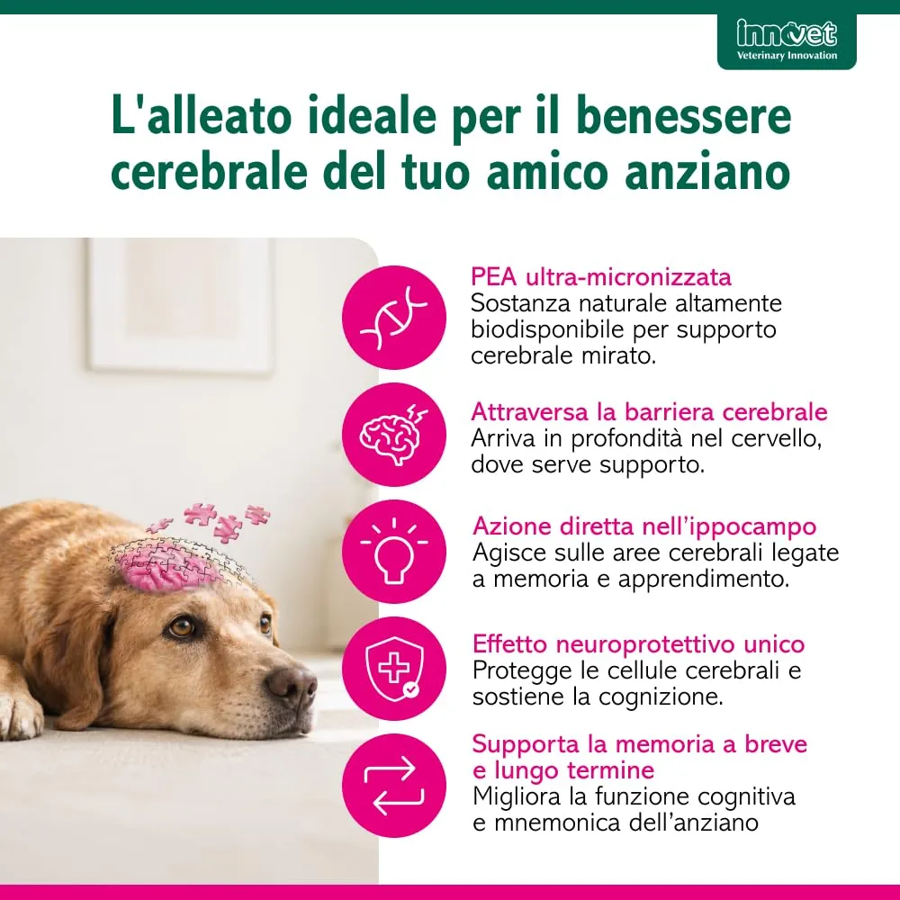 Innovet Senilife Plus - 30 Capsule Birillo per Cani e Gatti Anziani - immagine 7