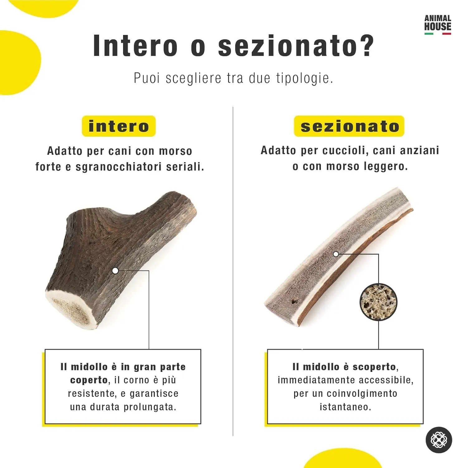 Animal House Corna di Cervo Premium per Cani Sezionate (L) - immagine 7