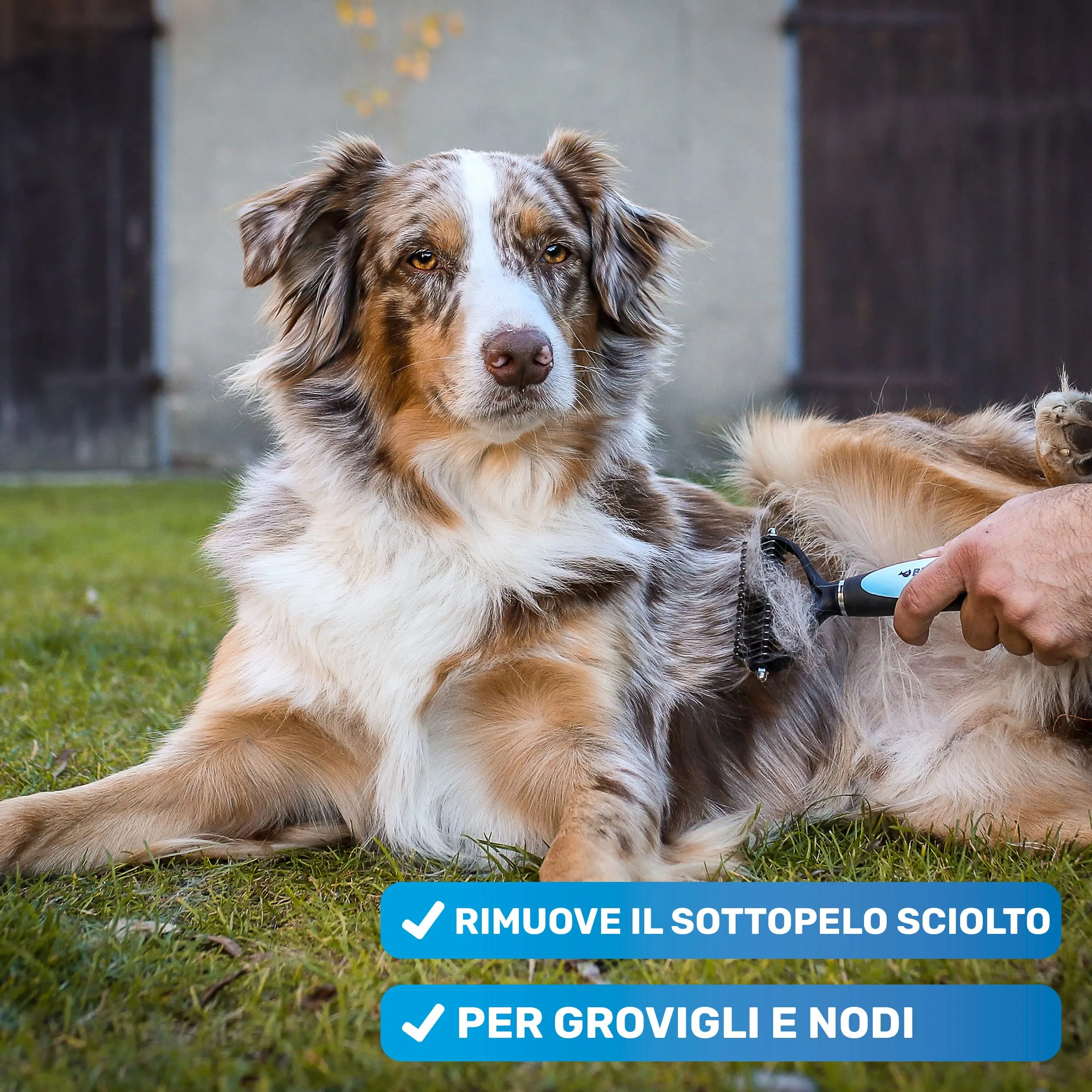 BluePet Spazzola per Cani e Gatti, Pettine Pelo Lungo e Medio, Cardatore Sottopelo - immagine 3
