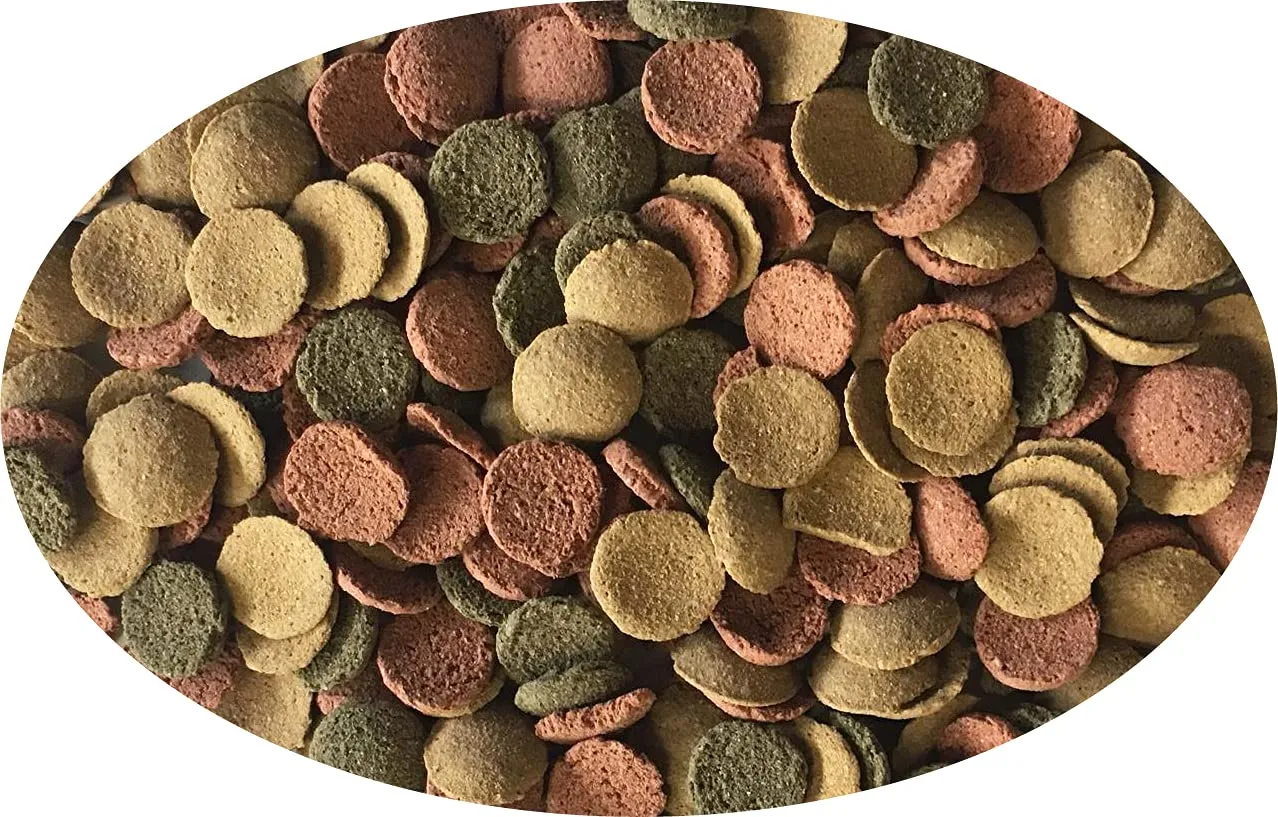 Haquoss Tablet Mix Mangime in Pastiglie affondanti per Pesci Pulitori da Fondo e Vetro, 36 g - immagine 3