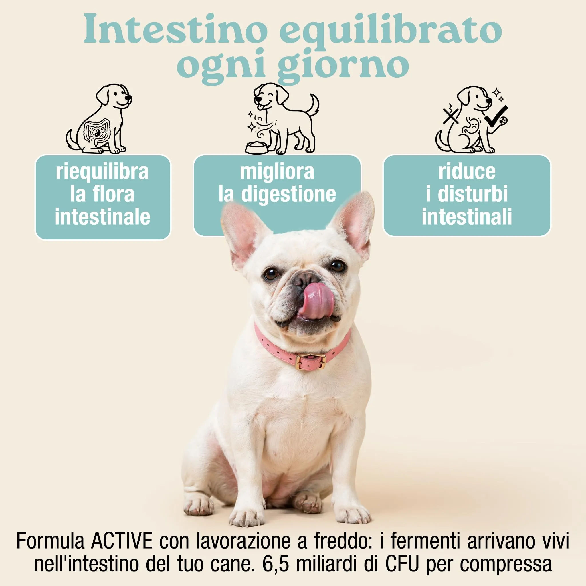MyPetPrime Fermenti Lattici Cane Active, Probiotici Digestivi, 60 Cpr - immagine 2