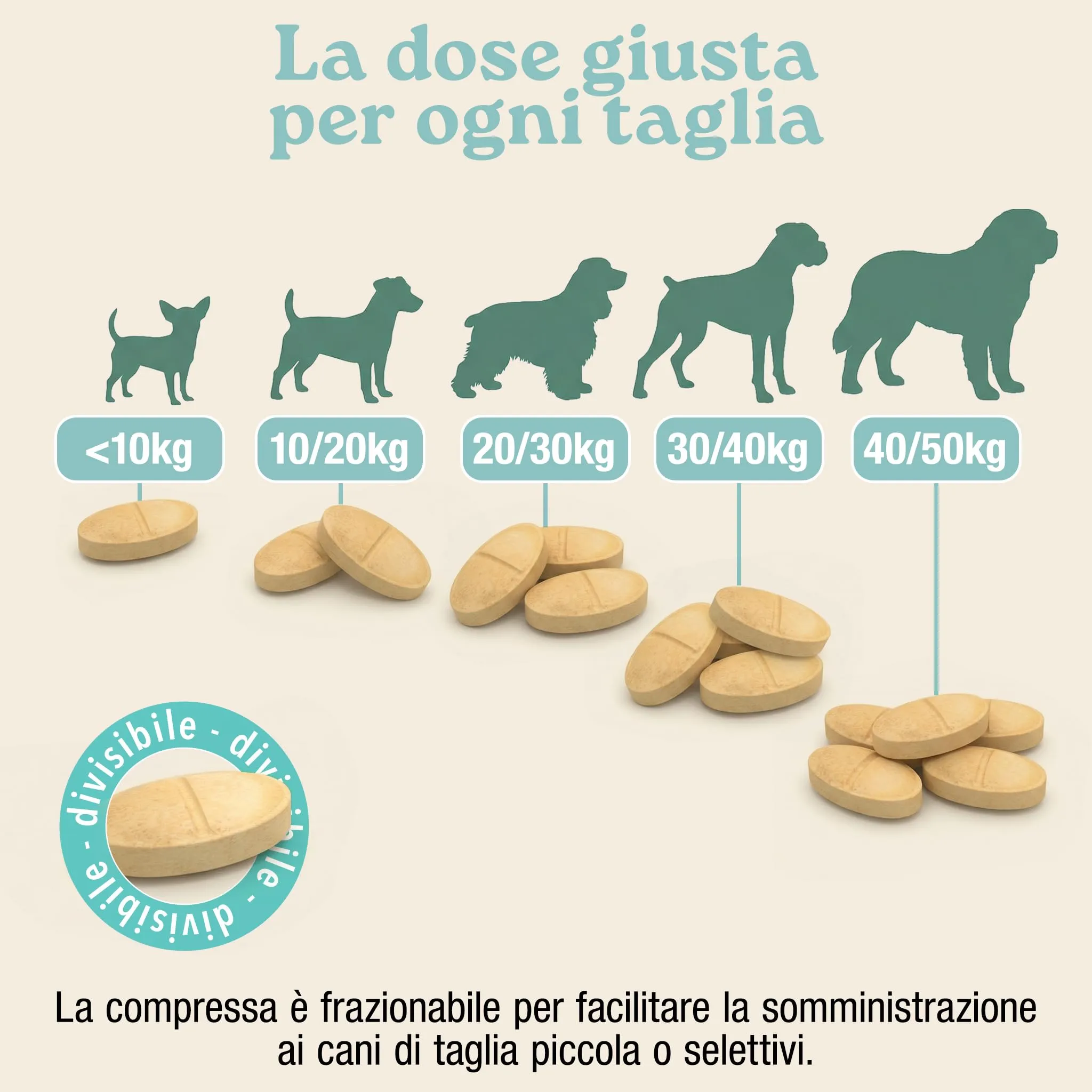 MyPetPrime Fermenti Lattici Cane Active, Probiotici Digestivi, 60 Cpr - immagine 6