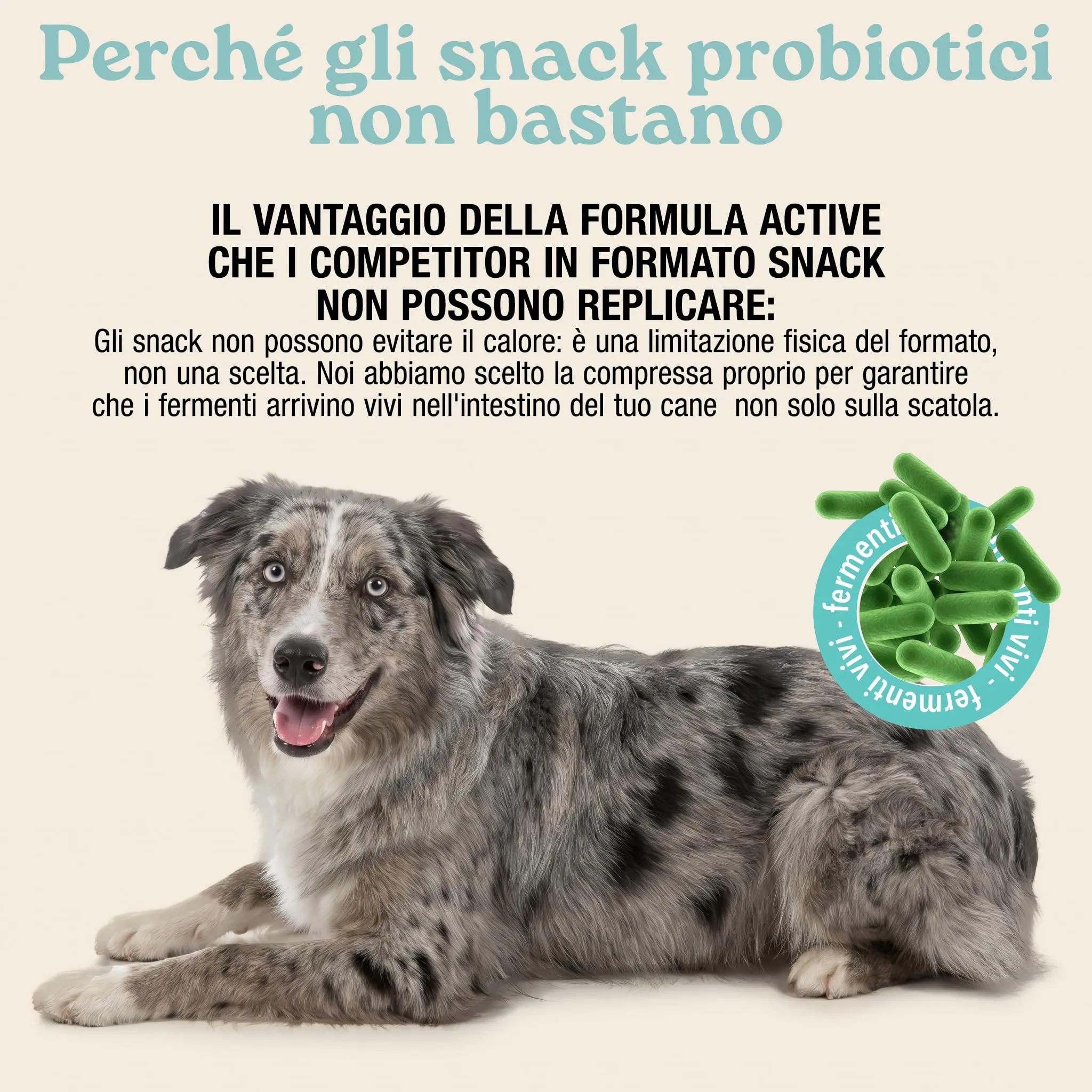 MyPetPrime Fermenti Lattici Cane Active, Probiotici Digestivi, 60 Cpr - immagine 8