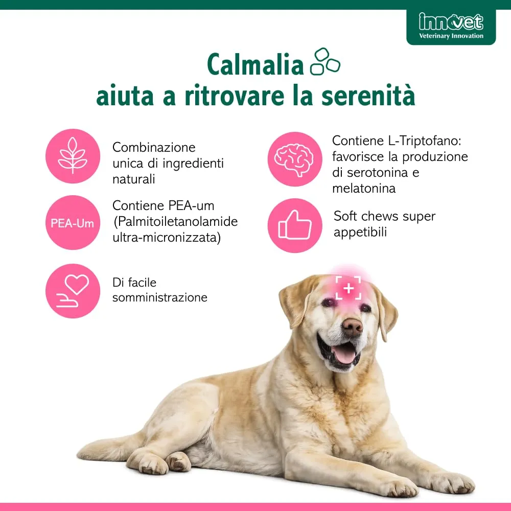 Innovet Calmalia 30 Soft Chews for Small Dogs with Pea-um and L-Tryptophan - immagine 3