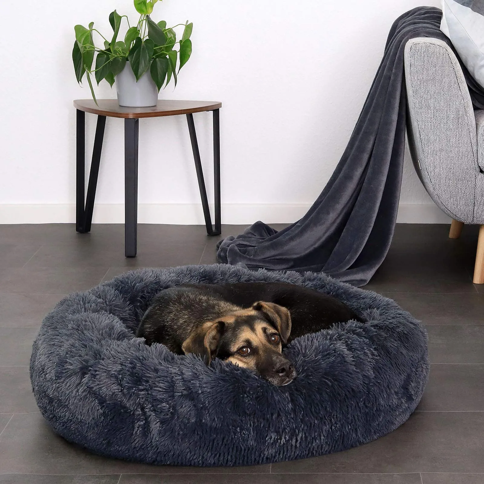 lionto Cuccia Ciambella per Cani e Gatti, Rotonda, Ø 70 cm, Grigio Scuro - immagine 2
