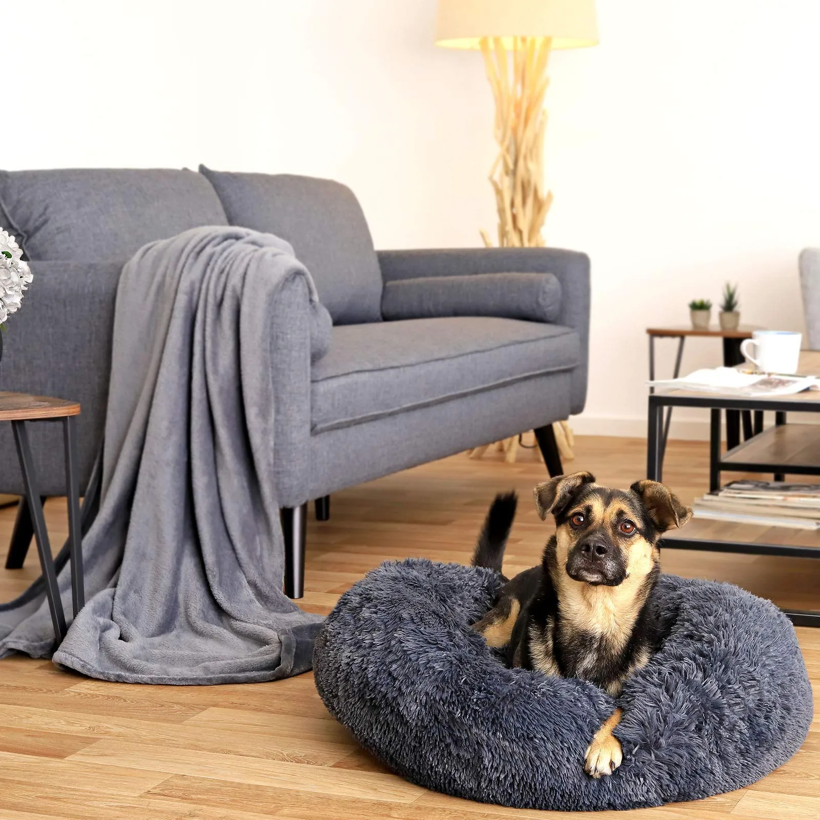 lionto Cuccia Ciambella per Cani e Gatti, Rotonda, Ø 70 cm, Grigio Scuro - immagine 3