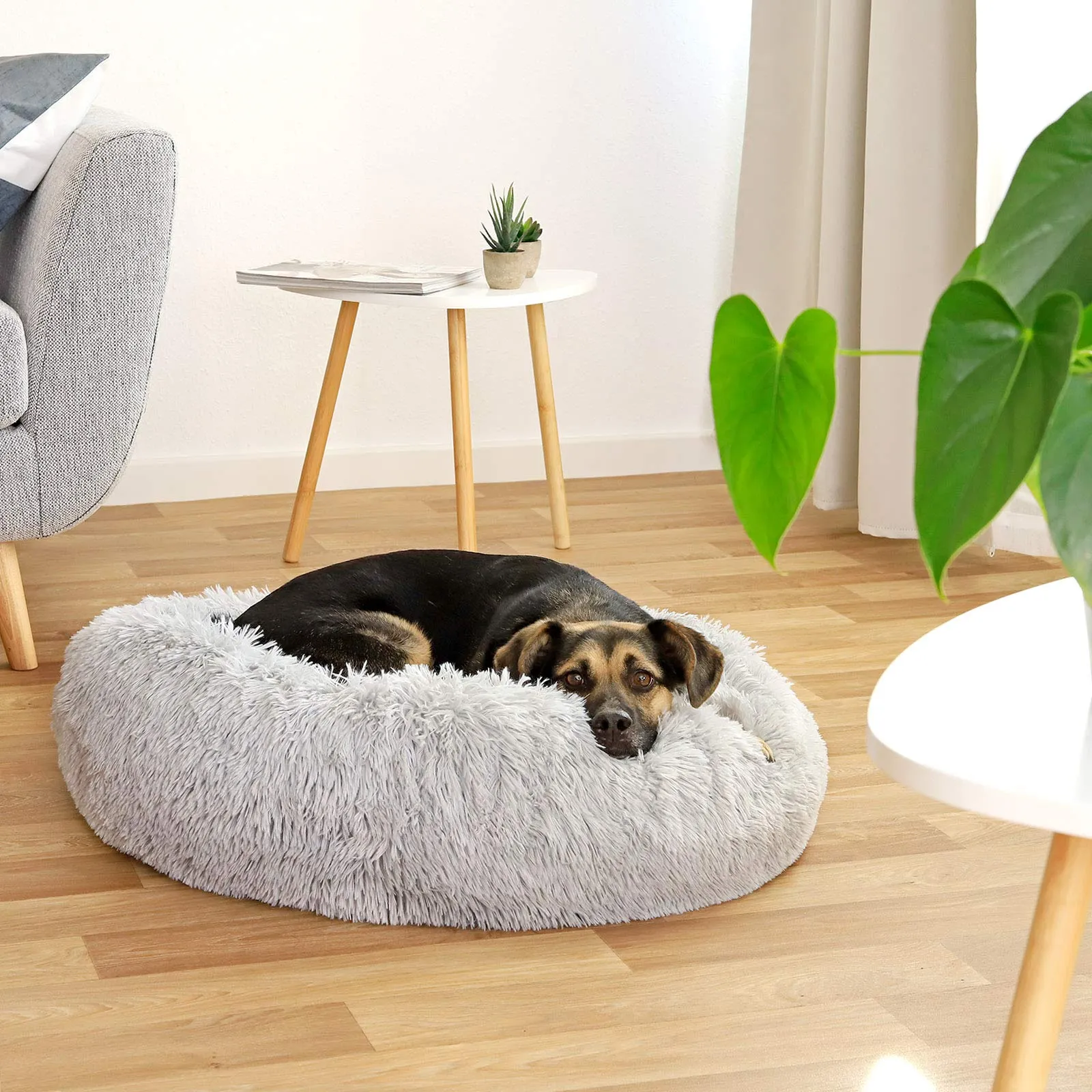 lionto Cuccia Ciambella per Cani e Gatti, Rotonda, Ø 70 cm, Grigio Chiaro - immagine 3