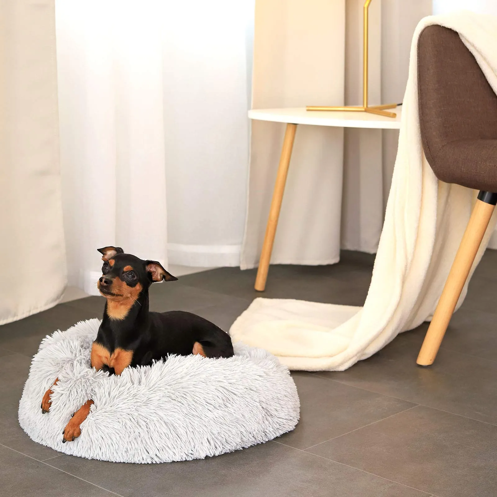 lionto Cuccia Ciambella per Cani e Gatti, Ø 40 cm, Grigio Chiaro - immagine 3