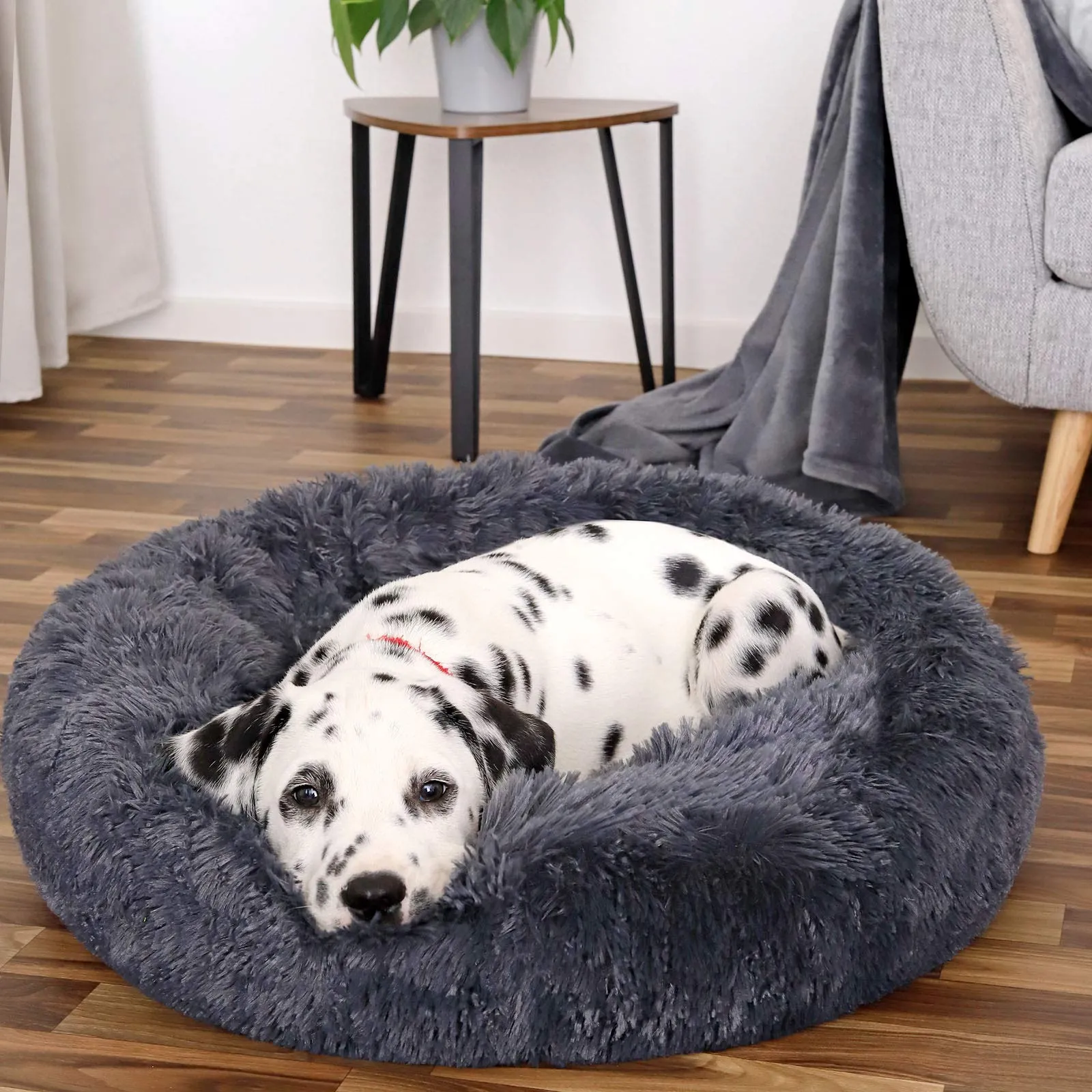 lionto Cuccia Ciambella per Cani e Gatti, Ø 60 cm, Grigio Scuro - immagine 2