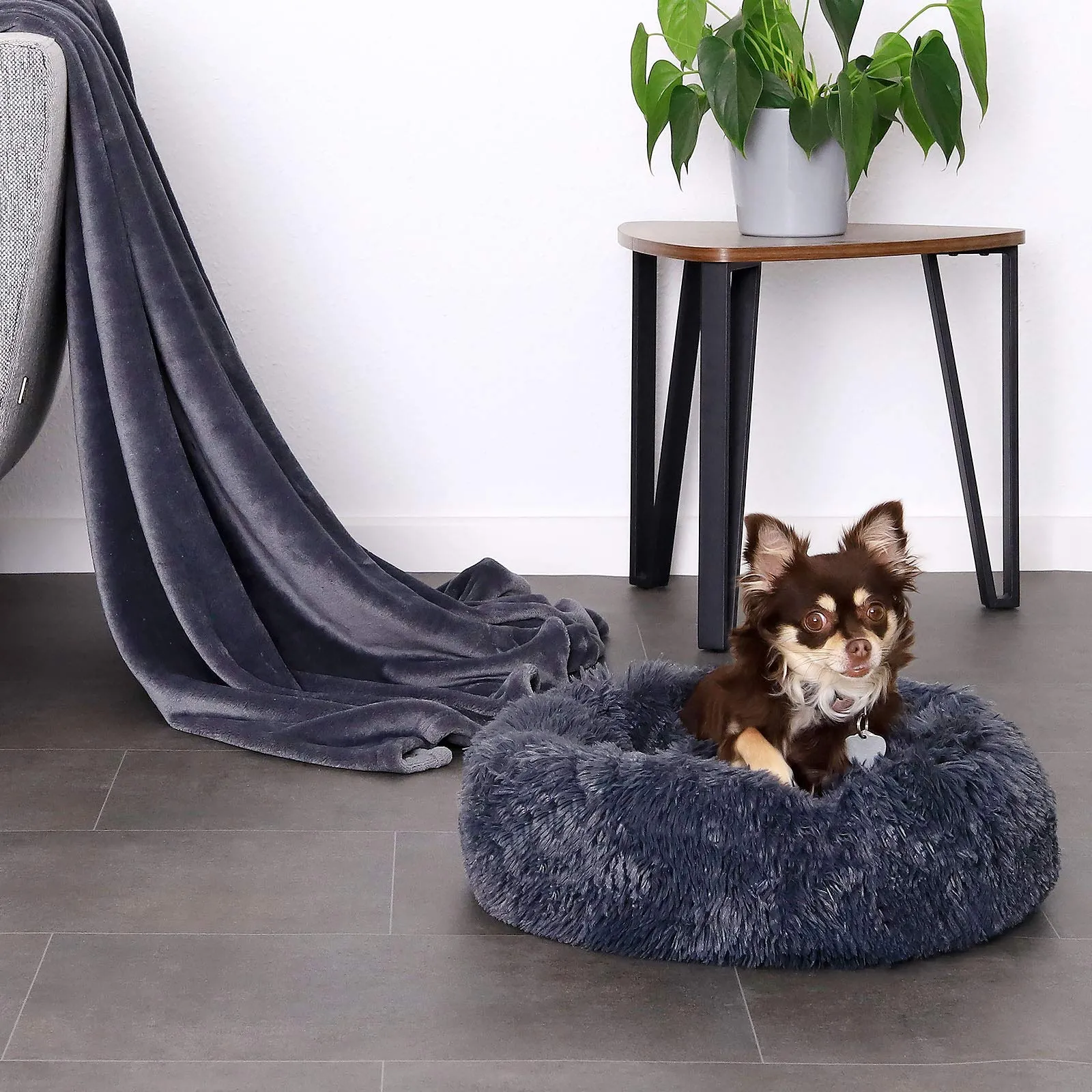 lionto Cuccia Ciambella per Cani e Gatti, Ø 50 cm, Grigio Scuro - immagine 3