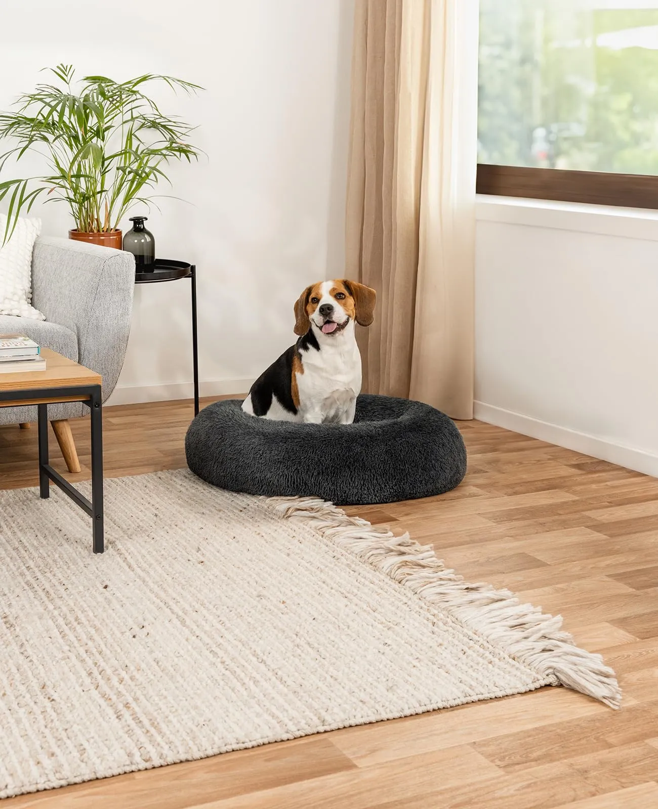 lionto Cuccia Ciambella per Cani e Gatti, Rotonda, Ø 80 cm, Grigio Scuro - immagine 2