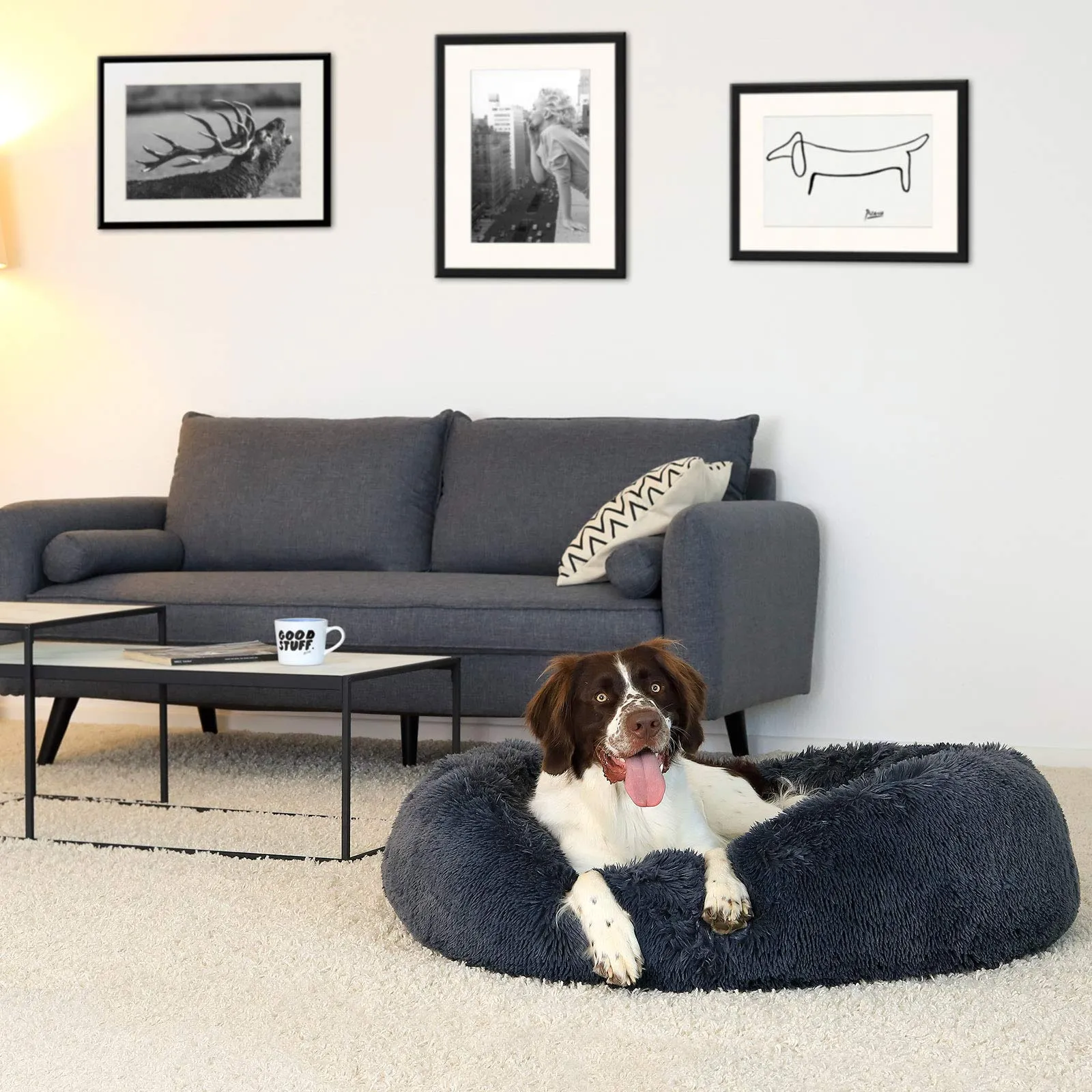 lionto Cuccia Ciambella per Cani e Gatti, Rotonda, Ø 100 cm, Grigio Scuro - immagine 2