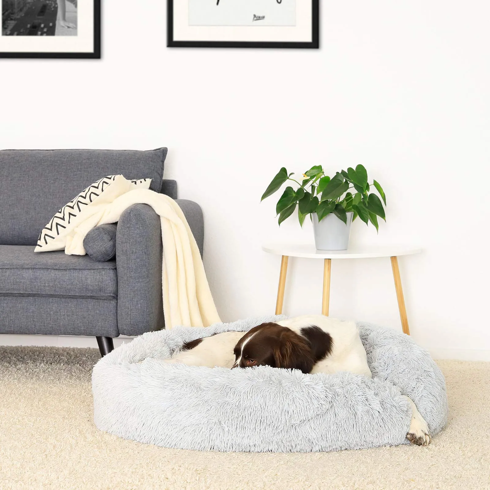 lionto Cuccia Ciambella per Cani e Gatti, Rotonda, 100 cm, Grigio Chiaro - immagine 2