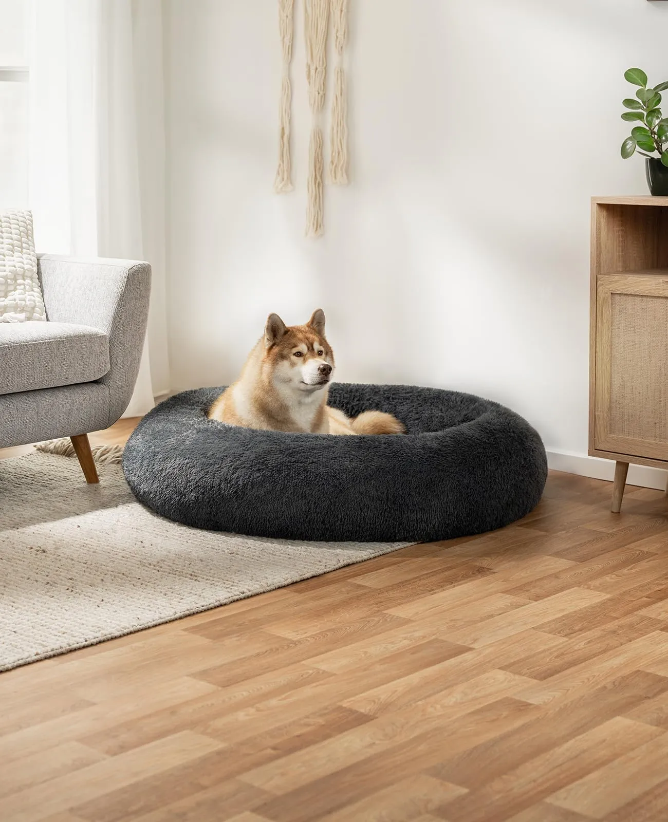 lionto Cuccia Ciambella per Cani e Gatti, Ø 120 cm, Grigio Scuro - immagine 2