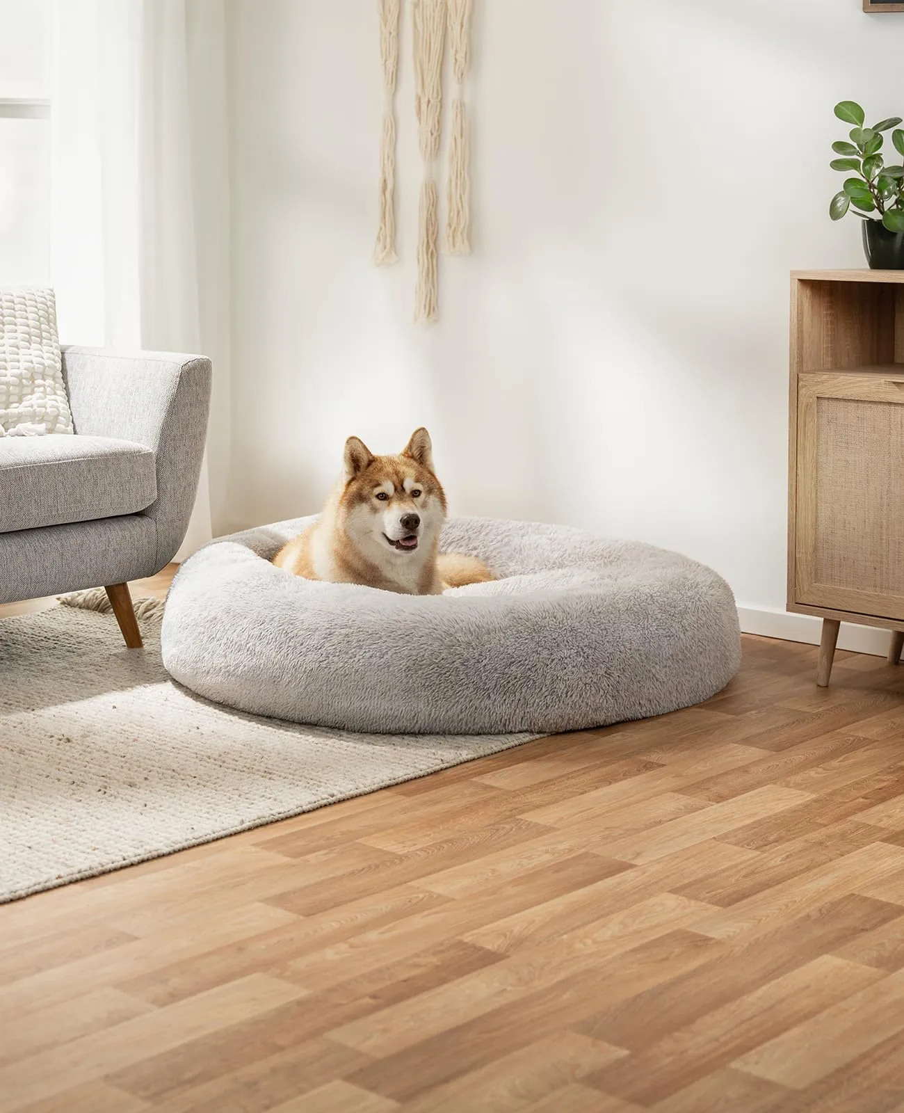 lionto Cuccia Ciambella per Cani e Gatti, Rotonda, Ø 120 cm, Grigio Chiaro - immagine 2