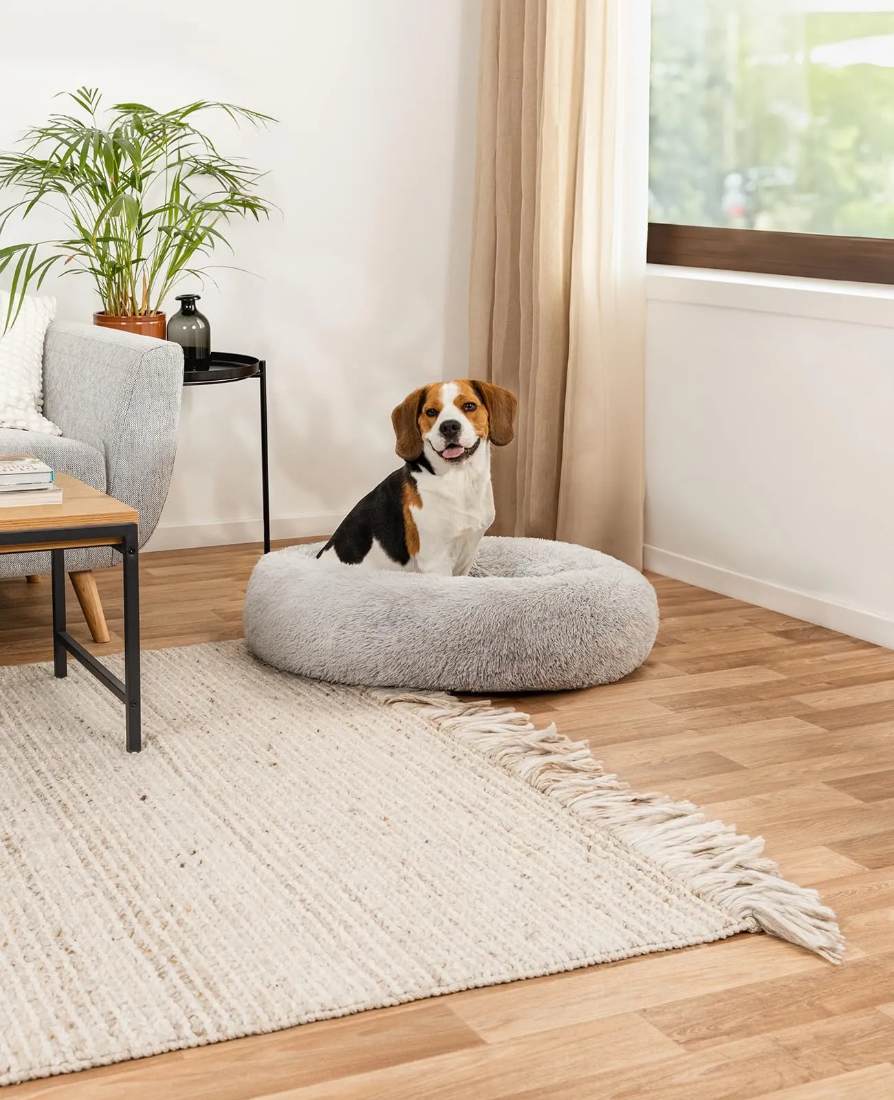lionto Cuccia Ciambella per Cani e Gatti, Rotonda, Ø 80 cm, Grigio Chiaro - immagine 2