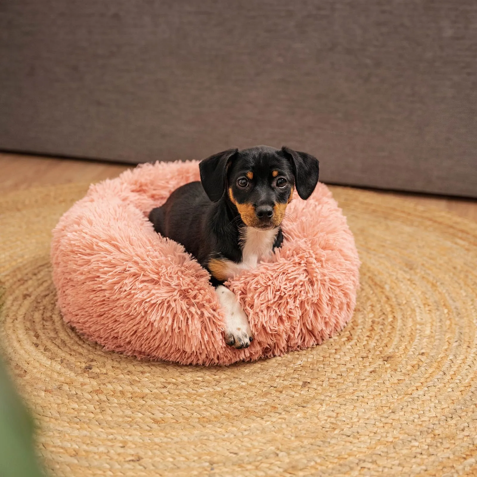 lionto Cuccia Ciambella per Cani e Gatti, Rotonda, Ø 40 cm, Rosa - immagine 2