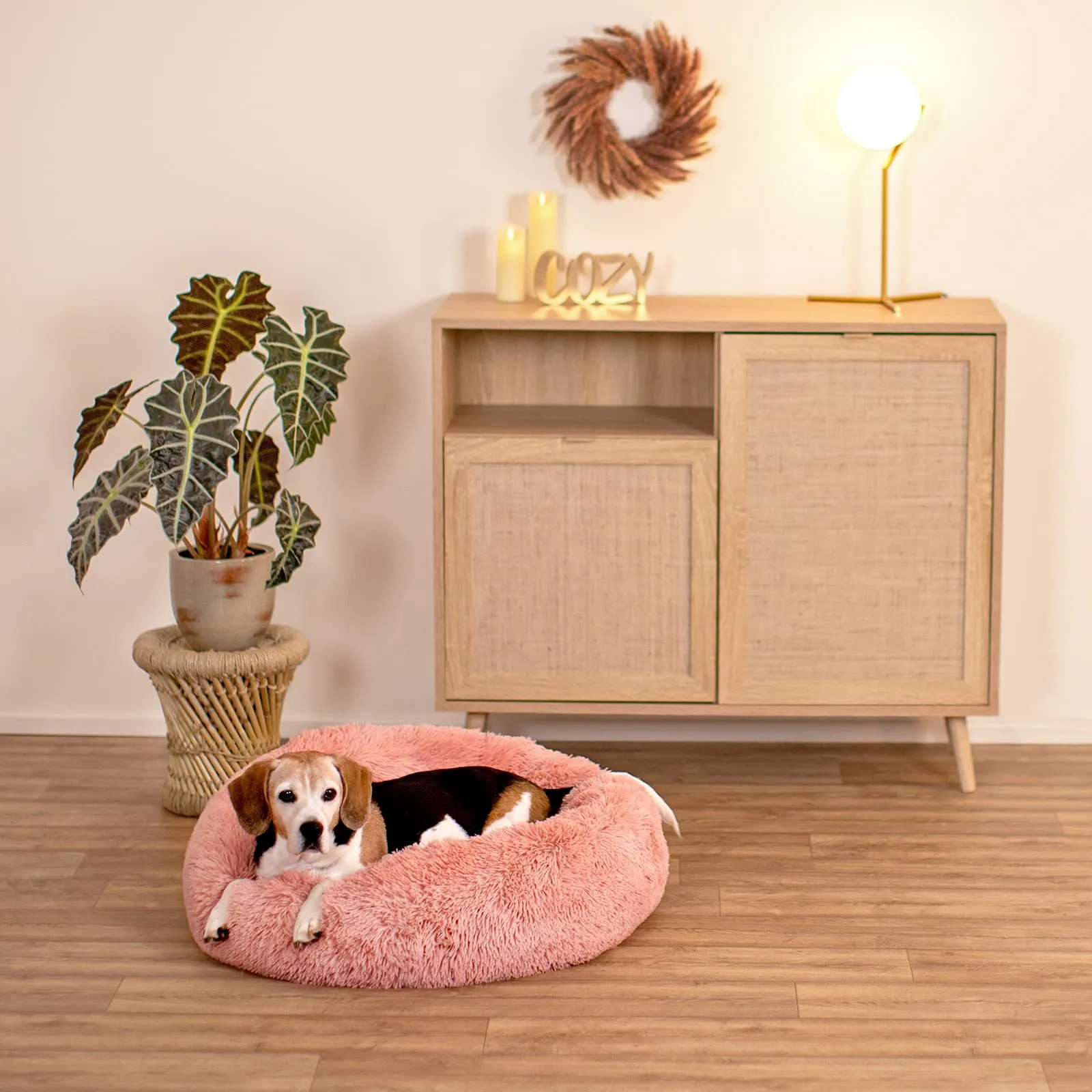 lionto Cuccia Ciambella per Cani e Gatti, Rotonda, Ø 70 cm, Rosa - immagine 2