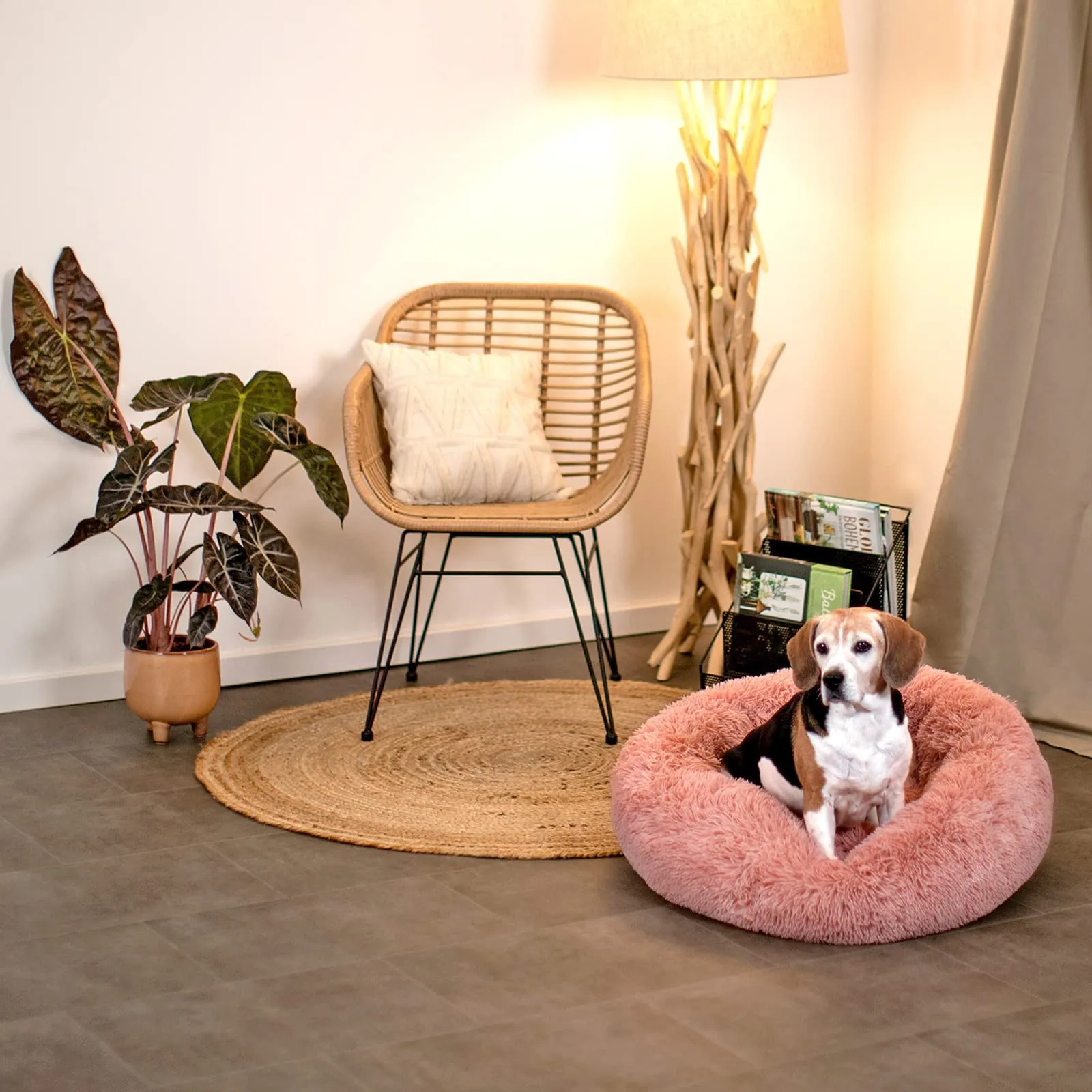 lionto Cuccia Ciambella per Cani e Gatti, Rotonda, Ø 70 cm, Rosa - immagine 3