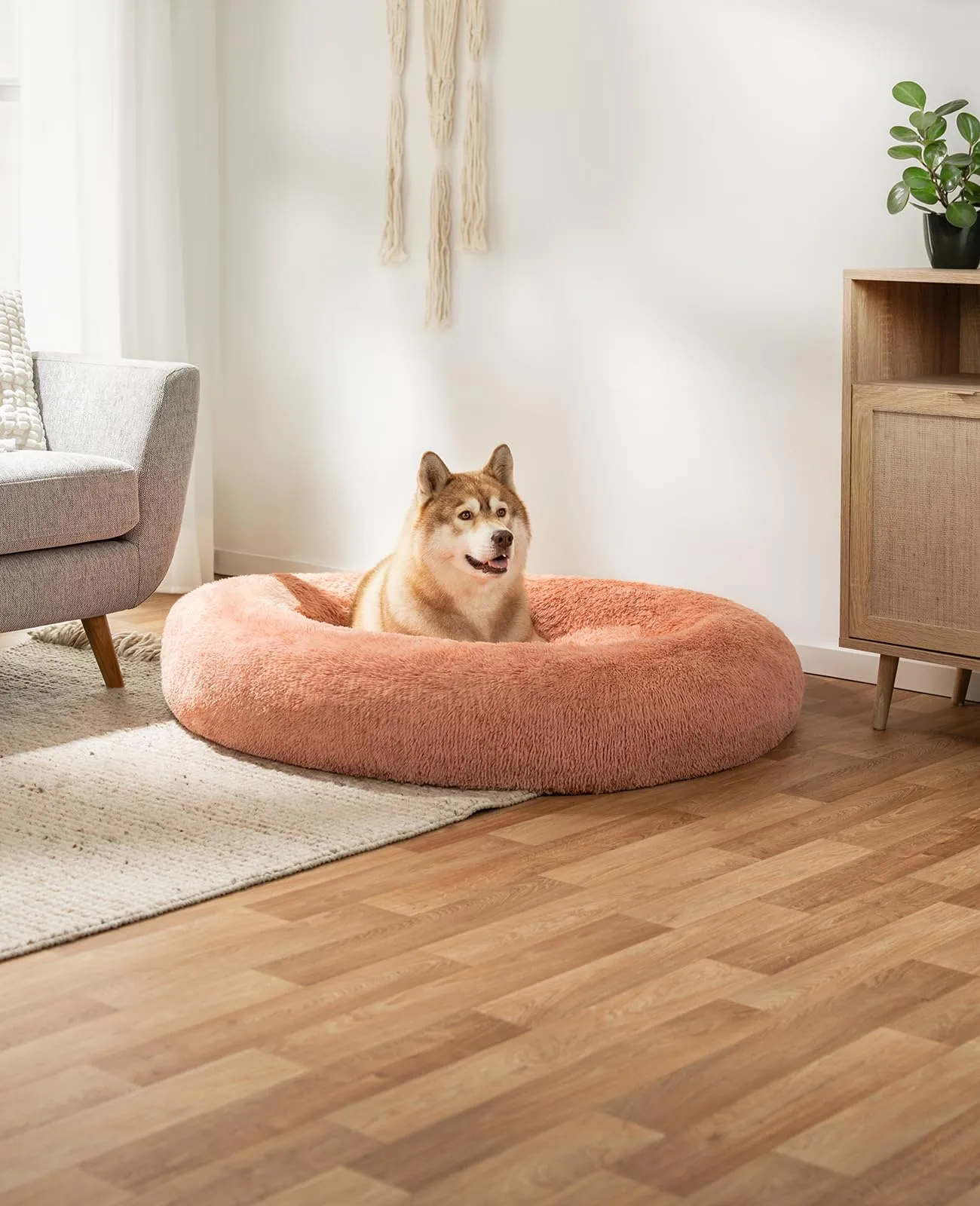 lionto Cuccia Ciambella per Cani e Gatti, Rotonda, Ø 120 cm, Rosa - immagine 2
