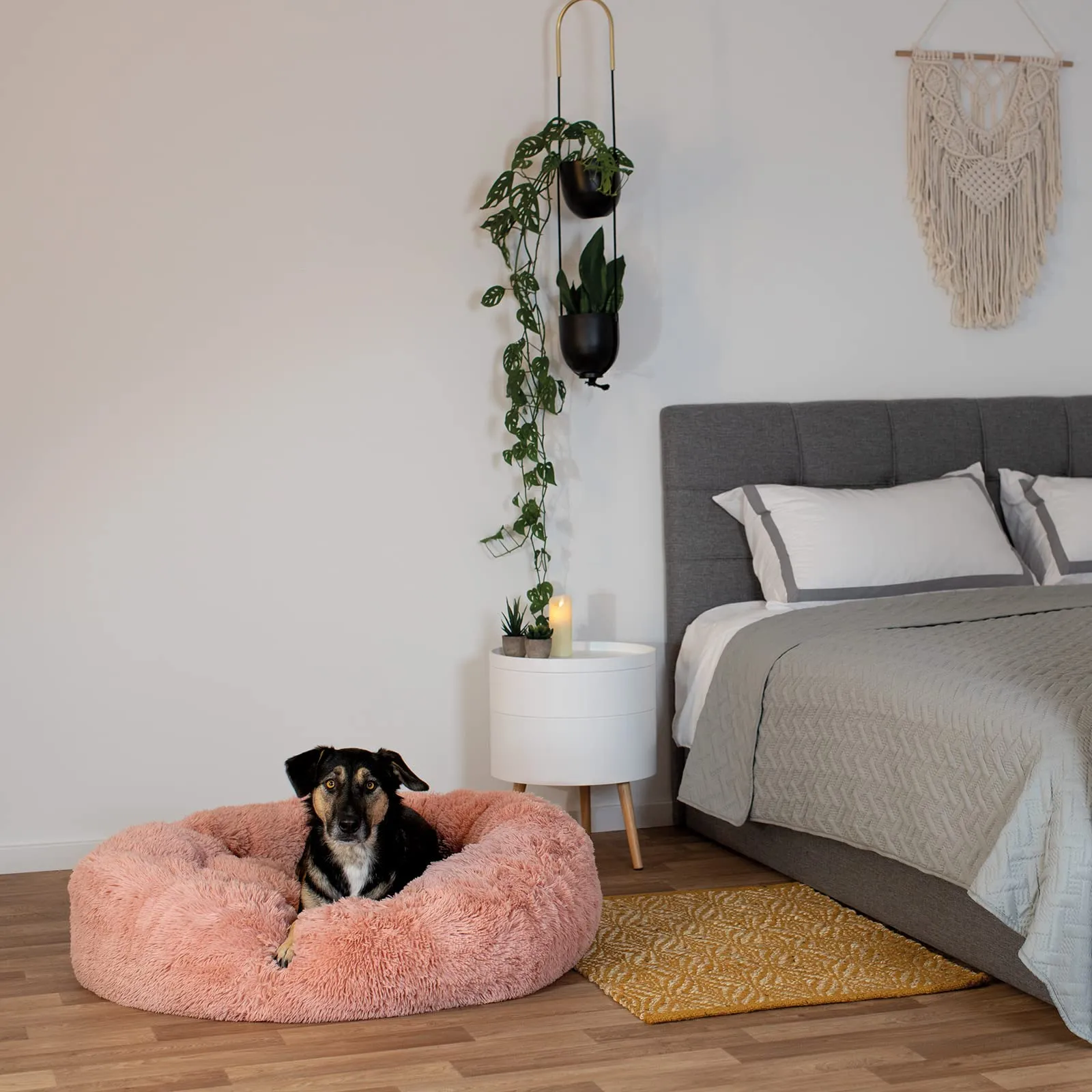 lionto Cuccia Ciambella per Cani e Gatti, Rotonda, 100 cm, Rosa - immagine 2