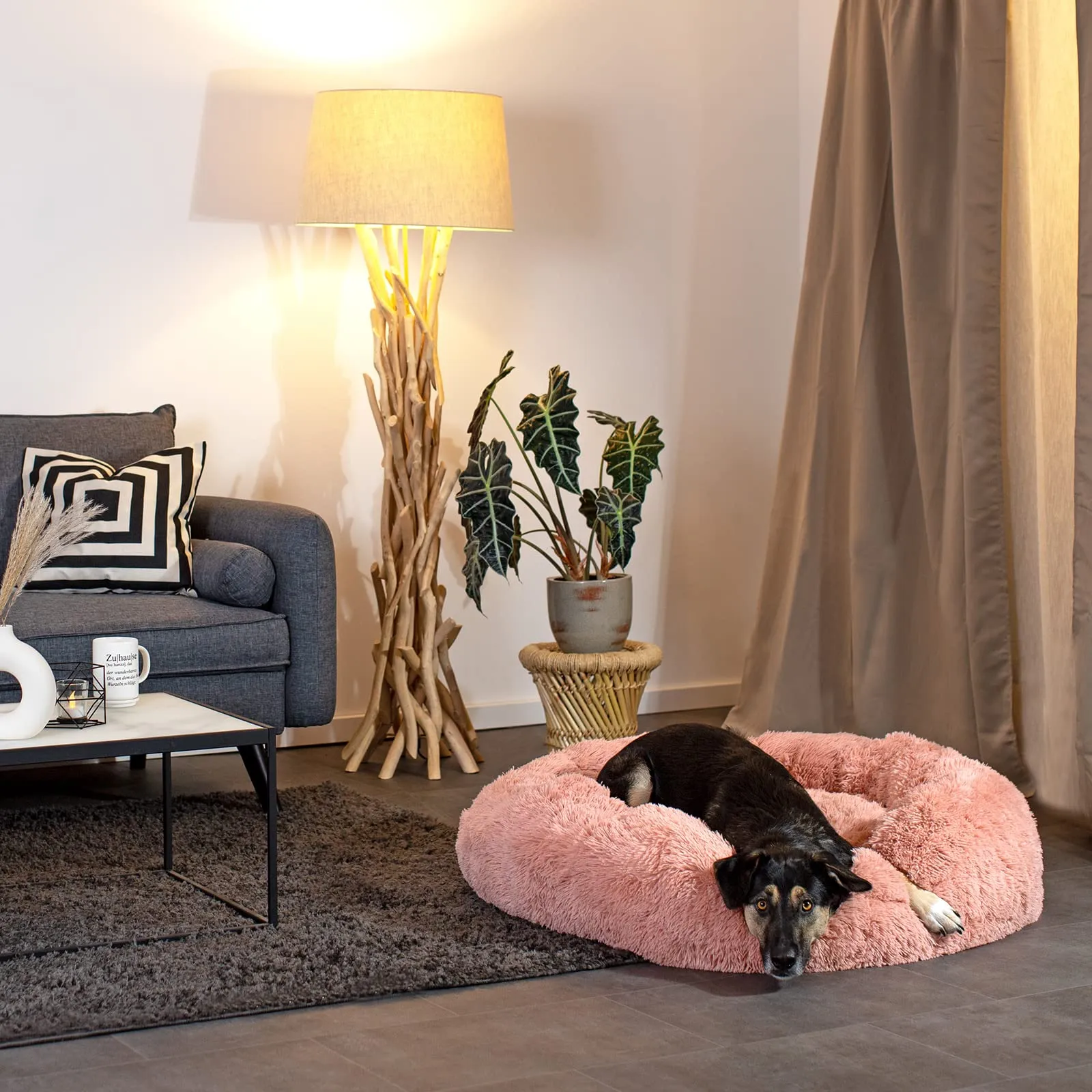 lionto Cuccia Ciambella per Cani e Gatti, Rotonda, 100 cm, Rosa - immagine 3
