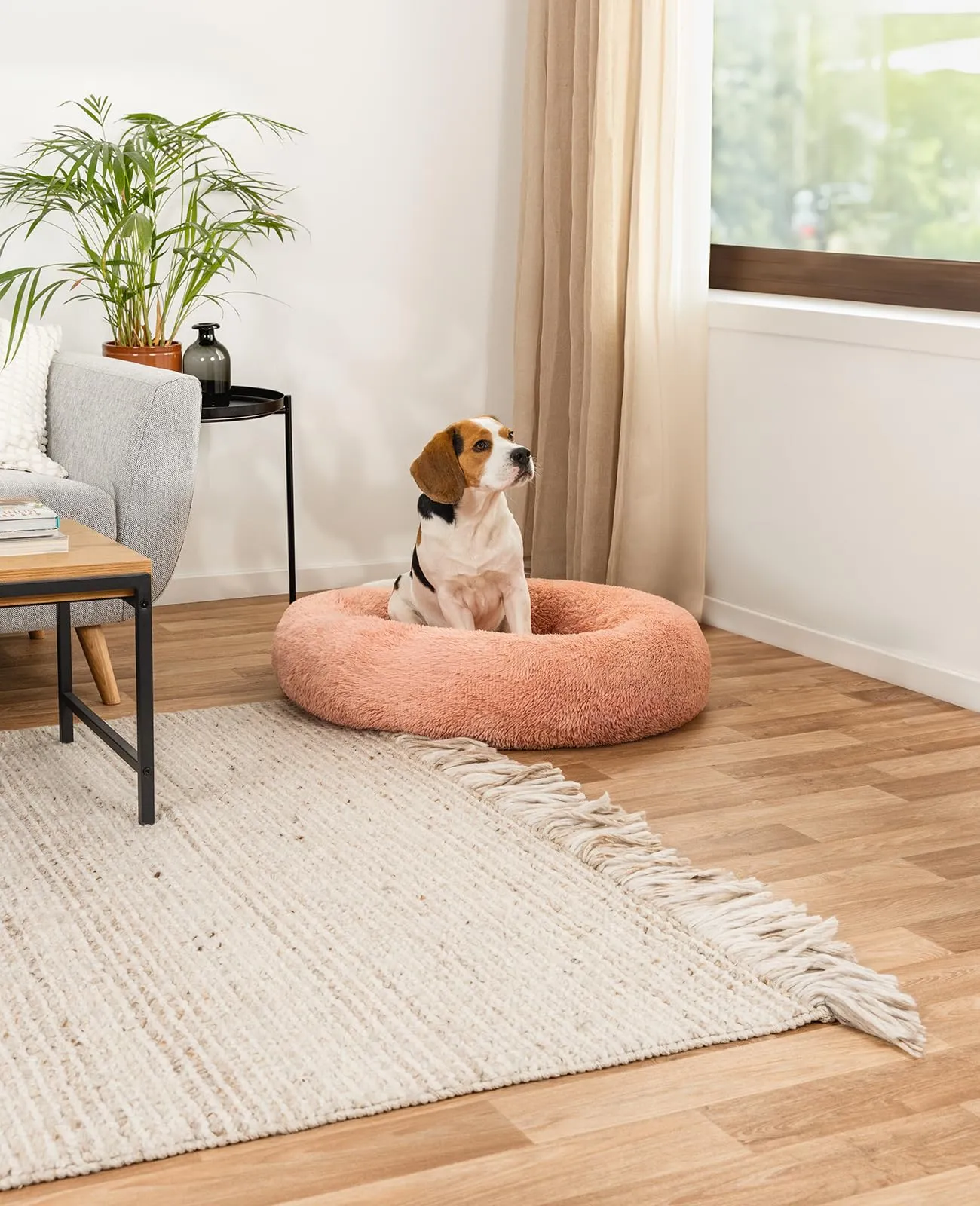 lionto Cuccia Ciambella per Cani e Gatti, Rotonda, Ø 80 cm, Rosa - immagine 2