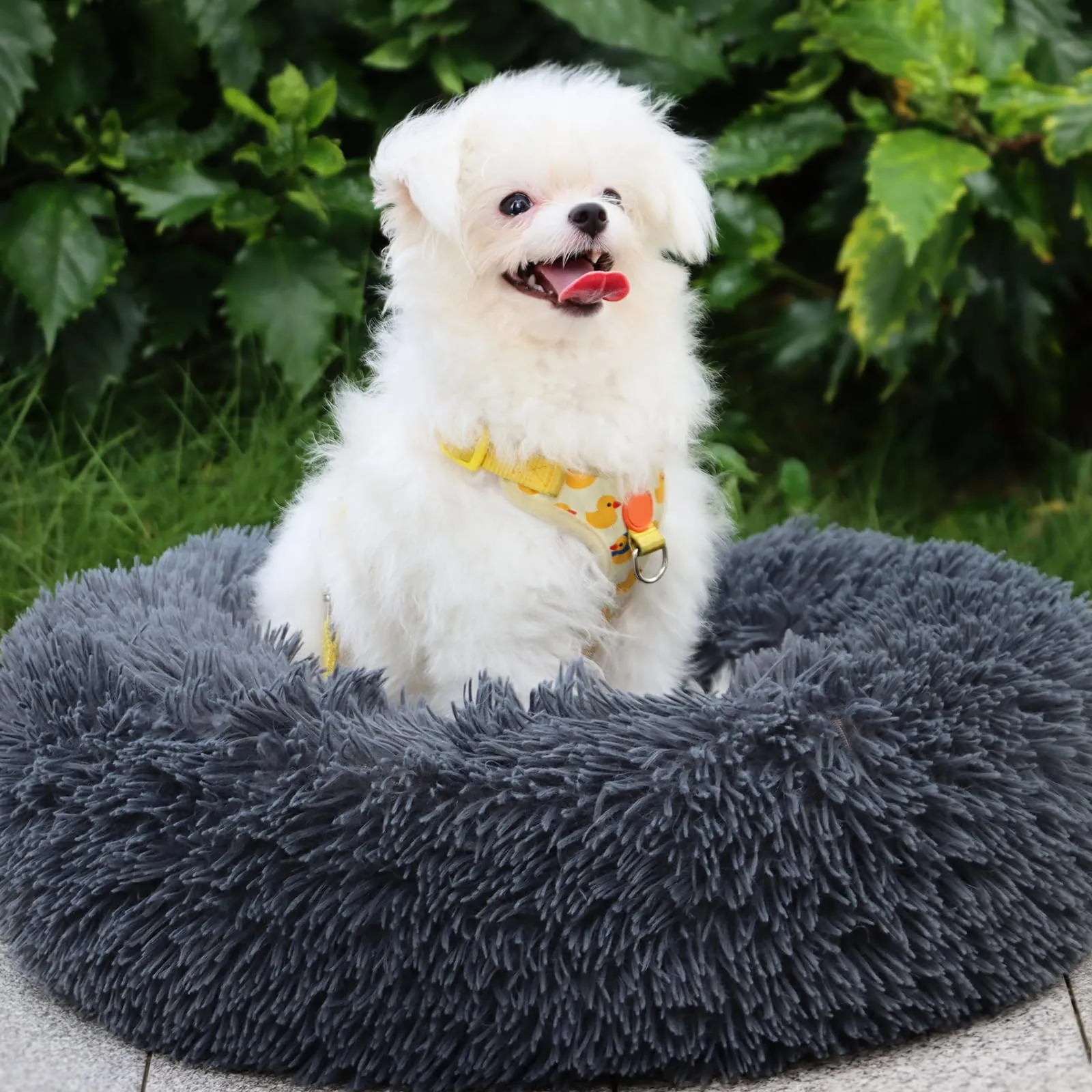 MDDK DY Cuccia per Cani Piccoli e Gatti, Rotonda, Peluche Lavabile, 70 cm, Grigio Scuro - immagine 1