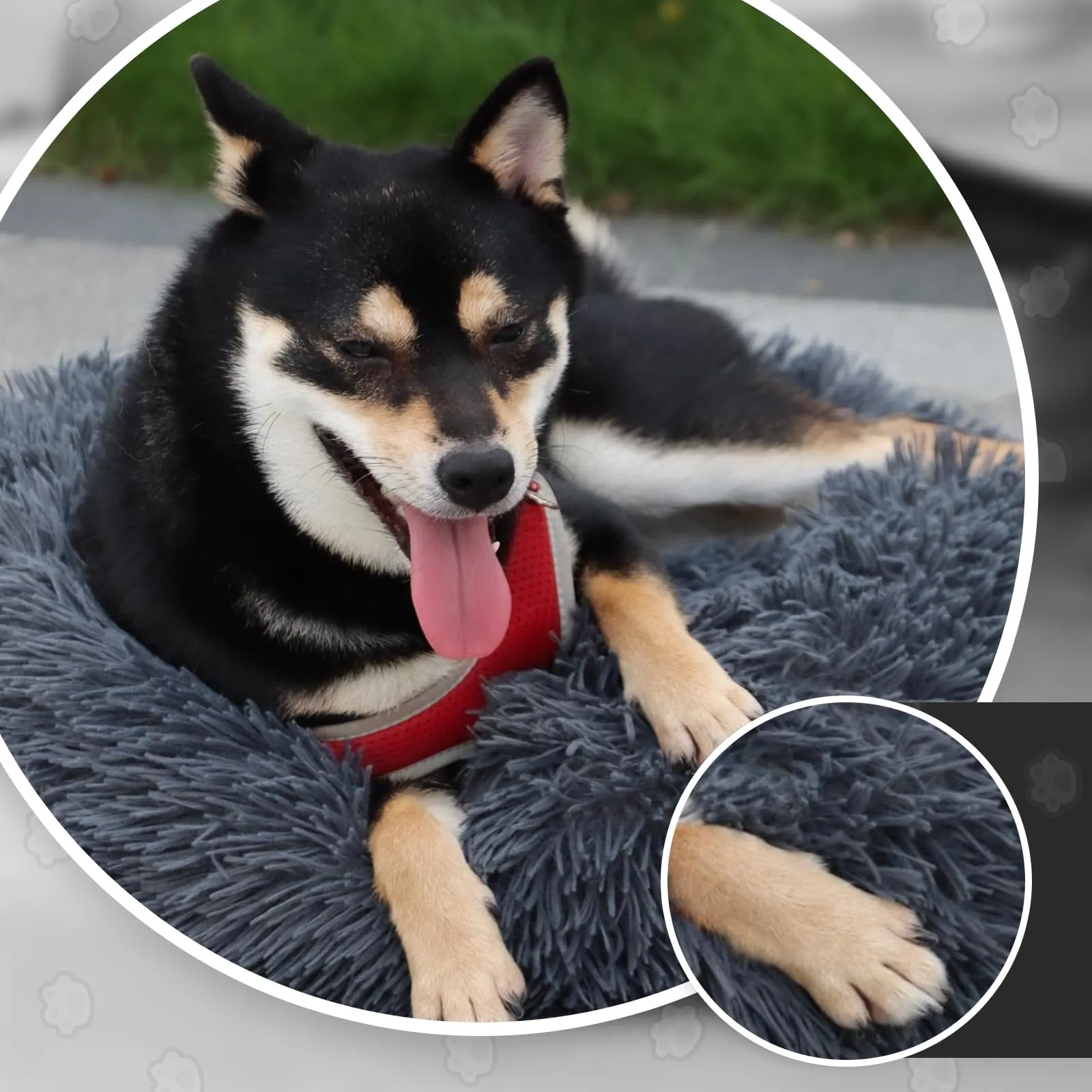 MDDK DY Cuccia per Cani Piccoli e Gatti, Rotonda, Peluche Lavabile, 70 cm, Grigio Scuro - immagine 2