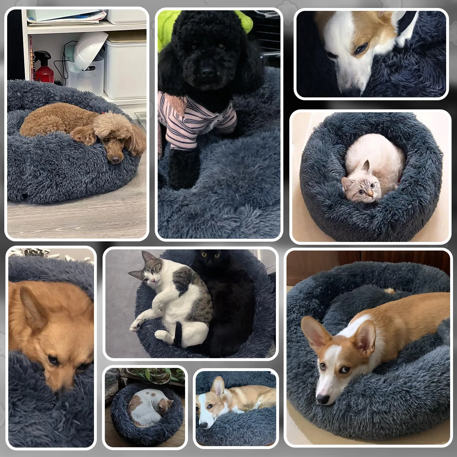 MDDK DY Cuccia per Cani Piccoli e Gatti, Rotonda, Peluche Lavabile, 70 cm, Grigio Scuro - immagine 8