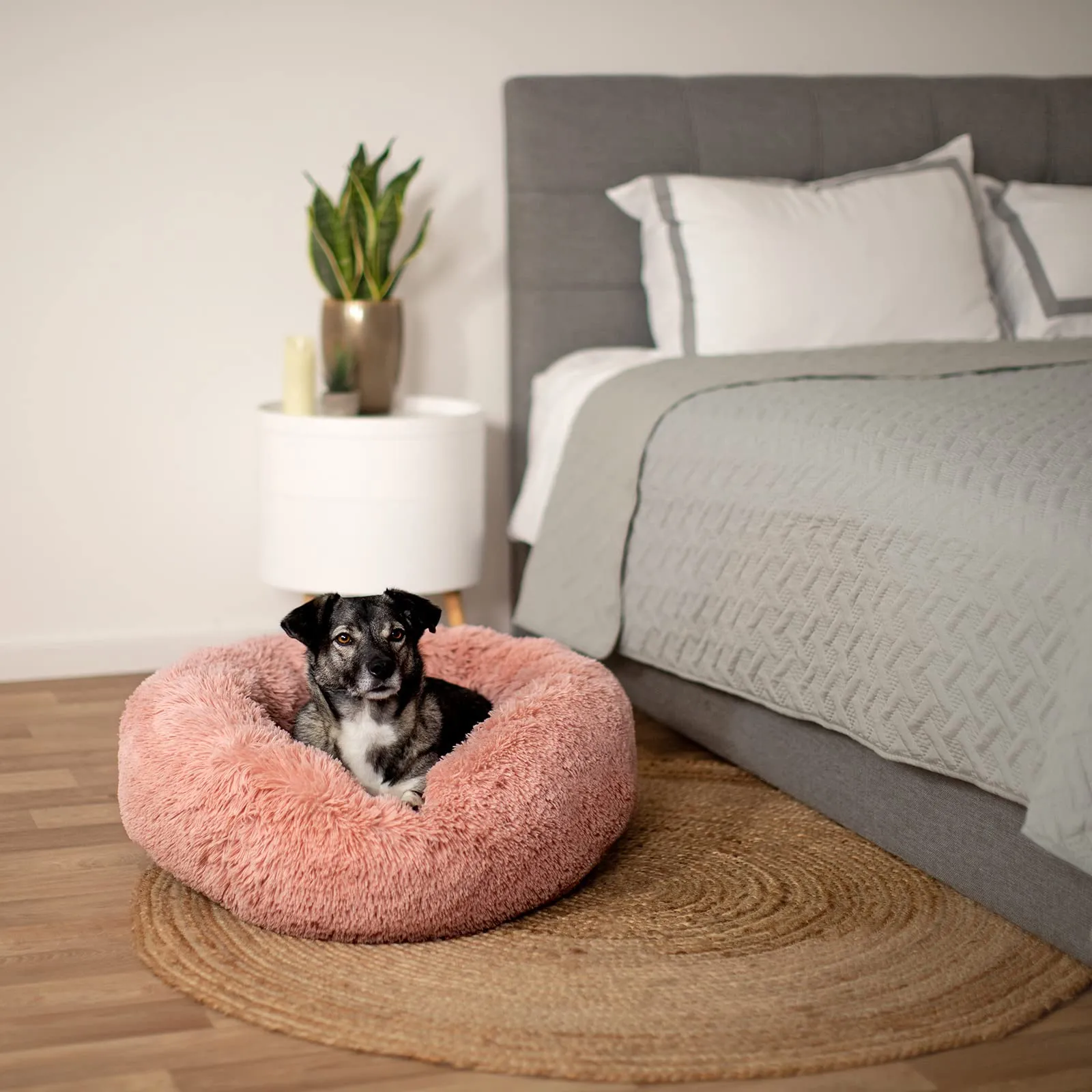 lionto Cuccia Ciambella per Cani e Gatti, Rotonda, Ø 60 cm, Rosa - immagine 2