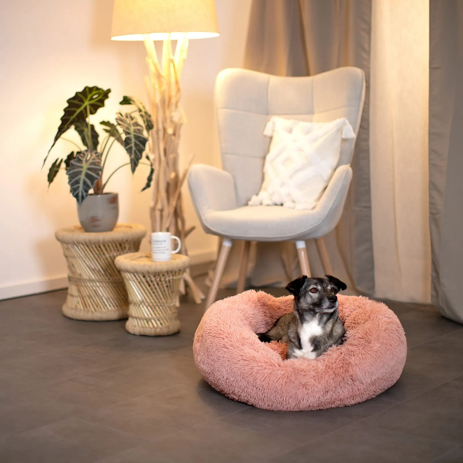 lionto Cuccia Ciambella per Cani e Gatti, Rotonda, Ø 60 cm, Rosa - immagine 3