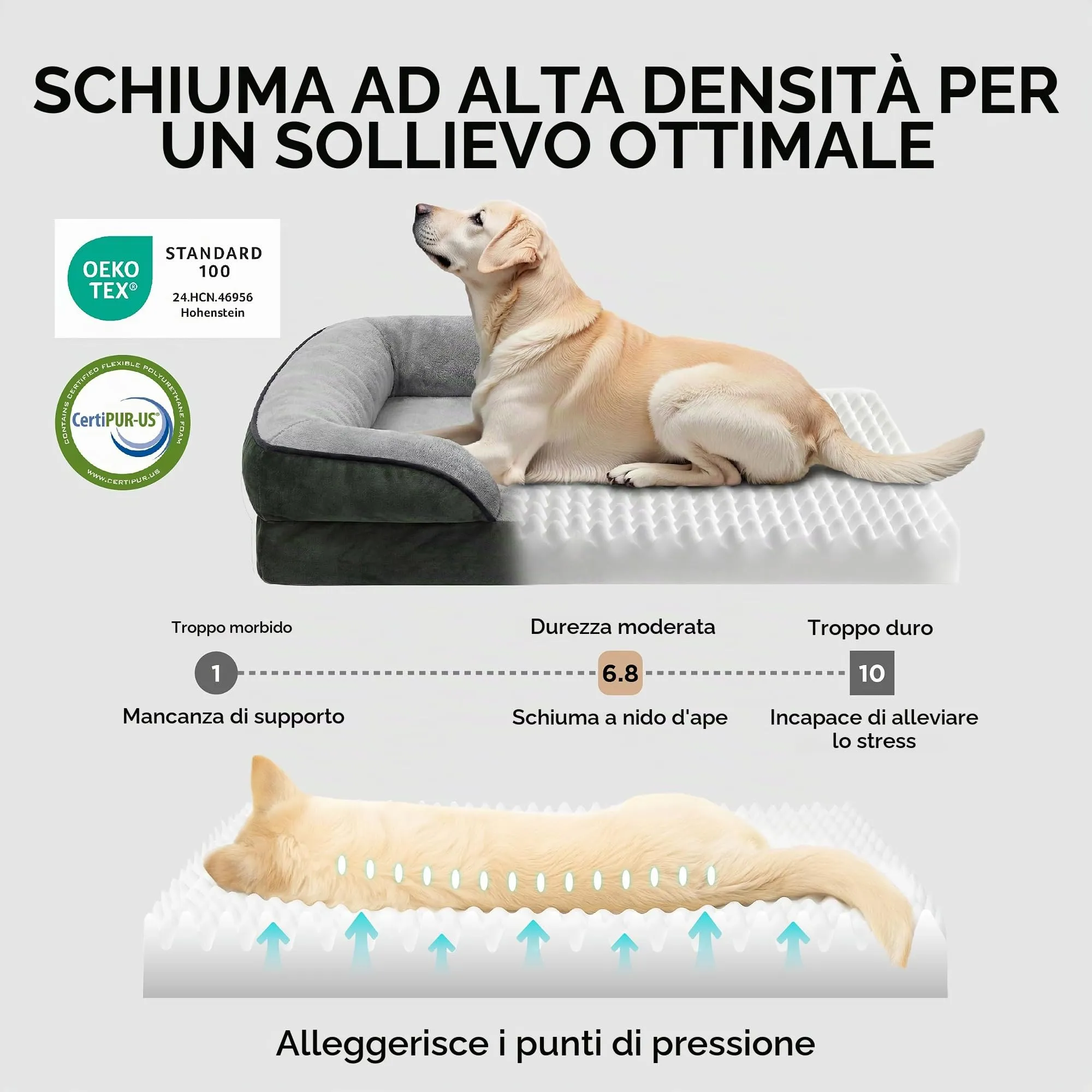Bedsure Cuccia Ortopedica Lavabile per Cani XXL, 122x89cm, Verde Scuro - immagine 3