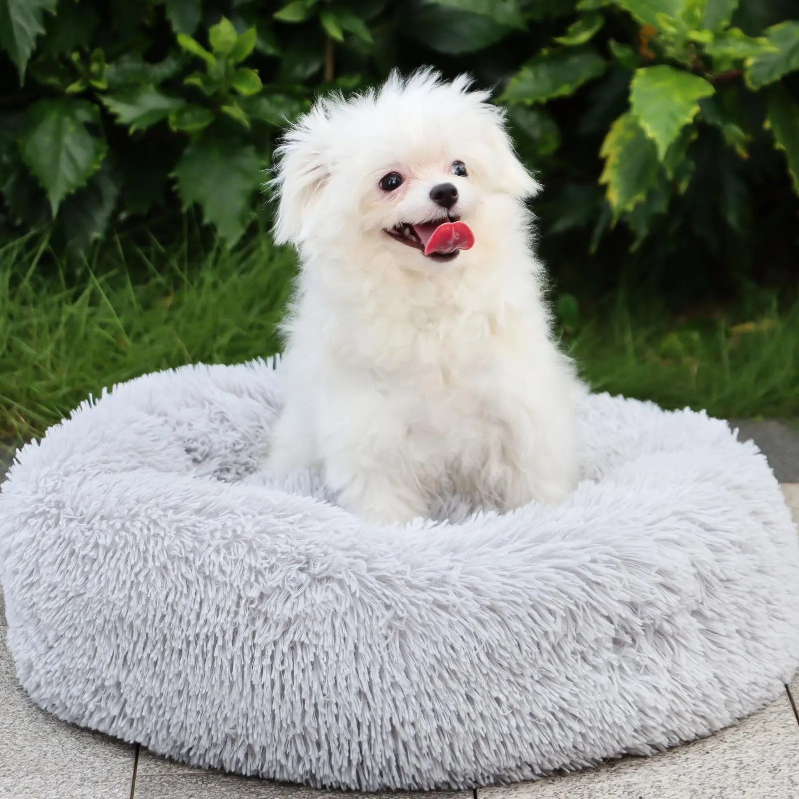 MDDK DY Cuccia per Cani Piccoli Rotonda in Peluche, 70 cm, Lavabile - immagine 1
