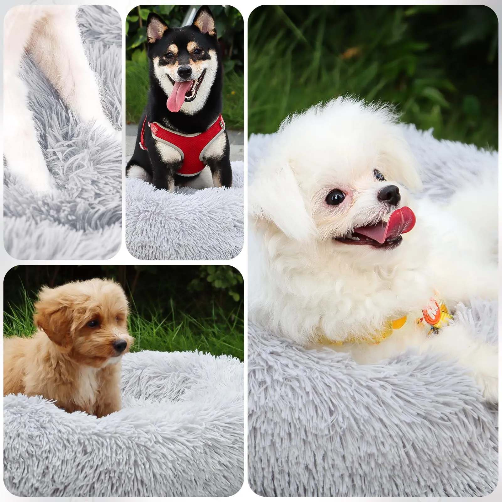 MDDK DY Cuccia per Cani Piccoli Rotonda in Peluche, 70 cm, Lavabile - immagine 5