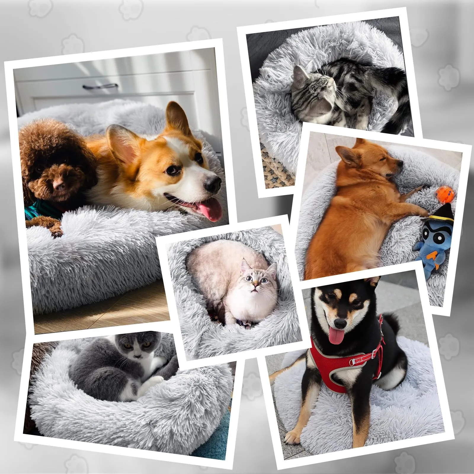 MDDK DY Cuccia per Cani Piccoli Rotonda in Peluche, 70 cm, Lavabile - immagine 8