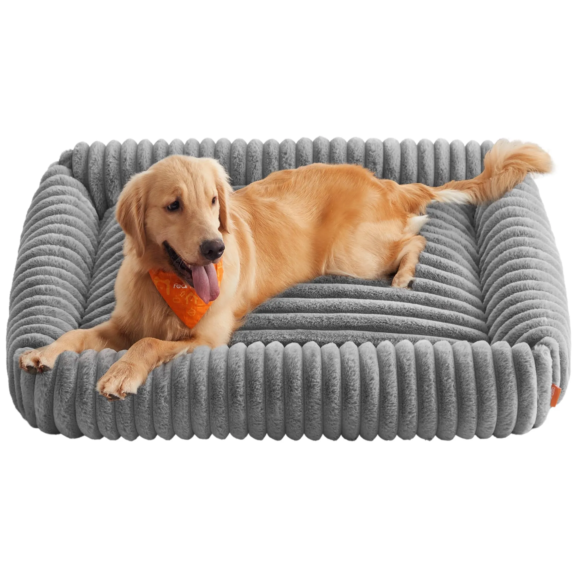 Feandrea Cuccia per Cani di Taglia Extra Grande, Lettino Ortopedico, Grigio Tortora, 120 x 85 x 23 cm - immagine 1