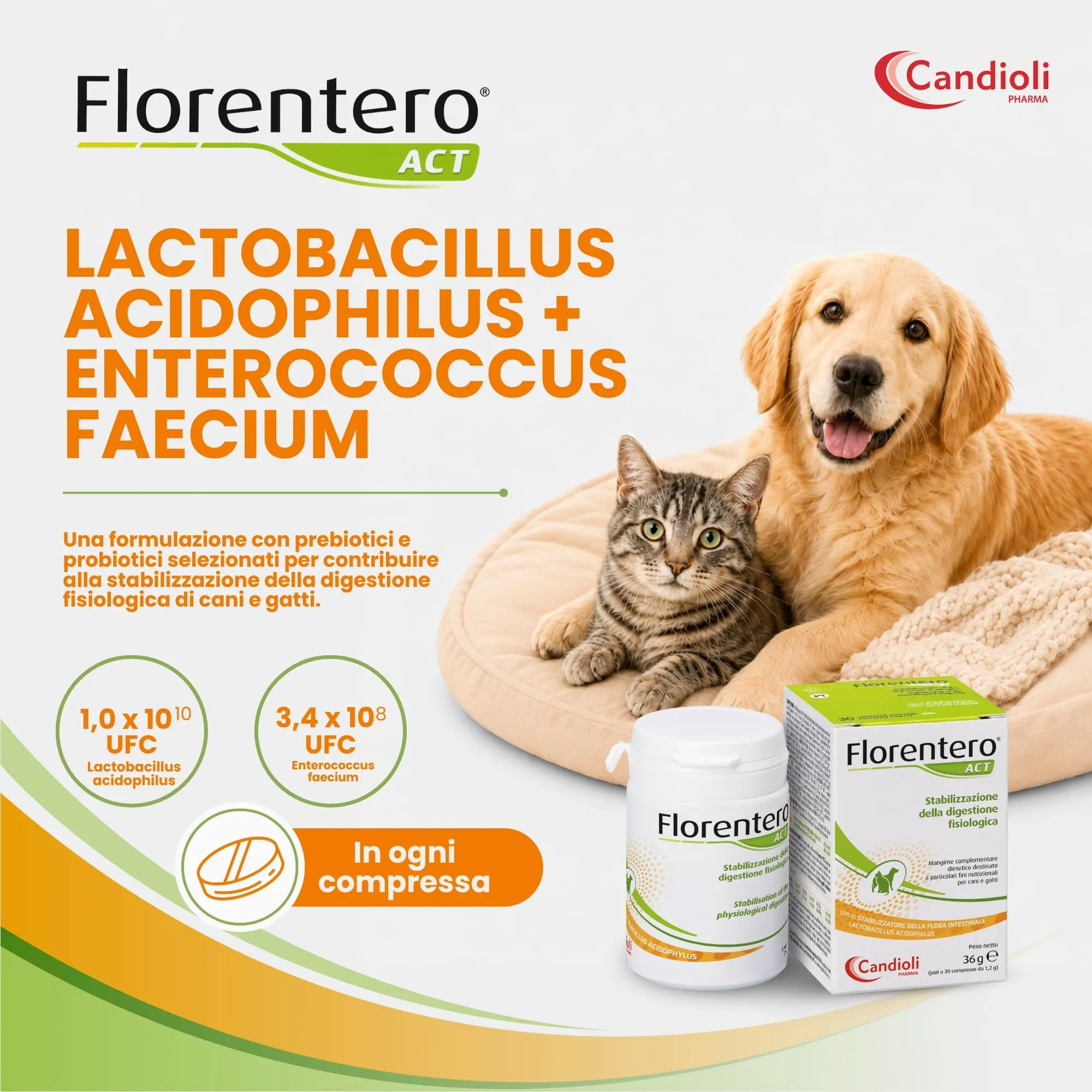 Candioli Florentero ACT Probiotici per Cani e Gatti, 30 Compresse - immagine 3