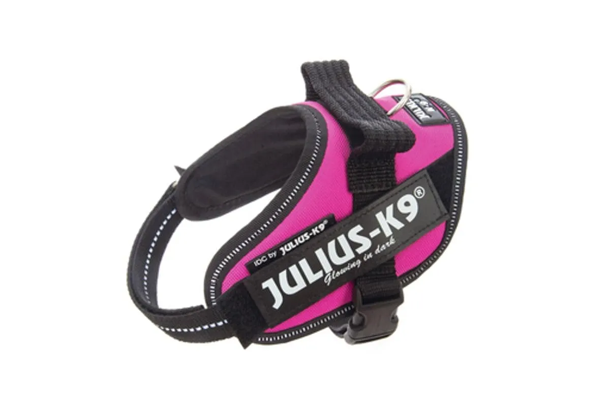 Julius-K9 Pettorina IDC Power Rosa scuro, XS/Mini-Mini - immagine 1