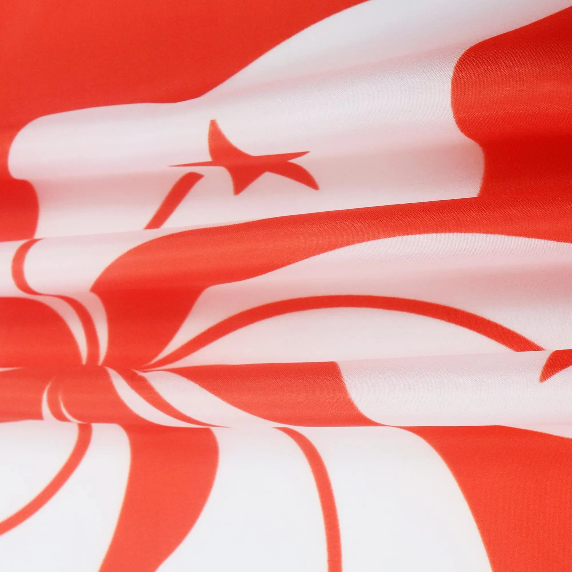 AZ FLAG Bandiera Hong Kong 150x90 cm Poliestere 100D con 2 Occhielli - immagine 4