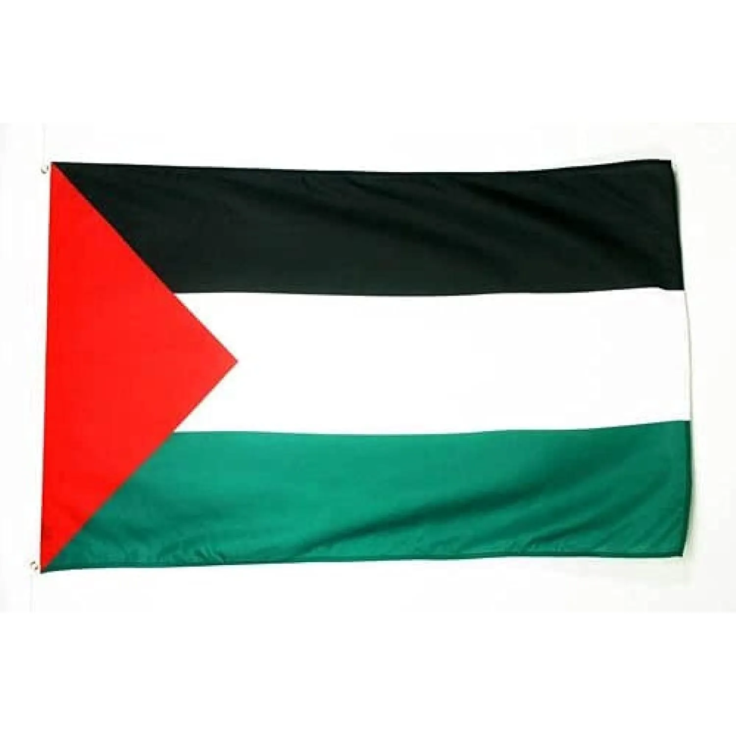 AZ FLAG Bandiera Palestina 150x90 cm Poliestere Leggero con Occhielli - immagine 4